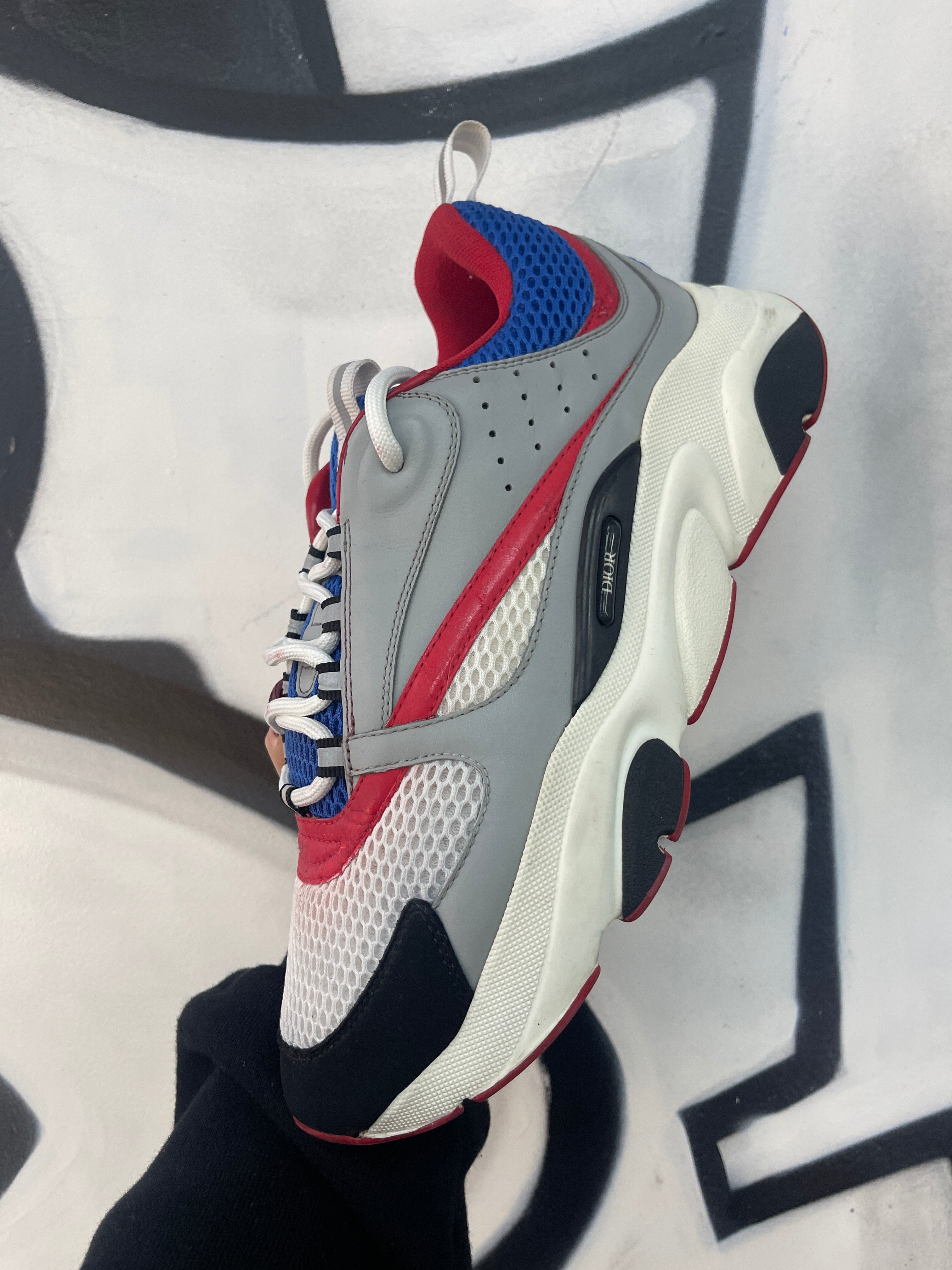 Dior B22 Red White Blue Sneakers