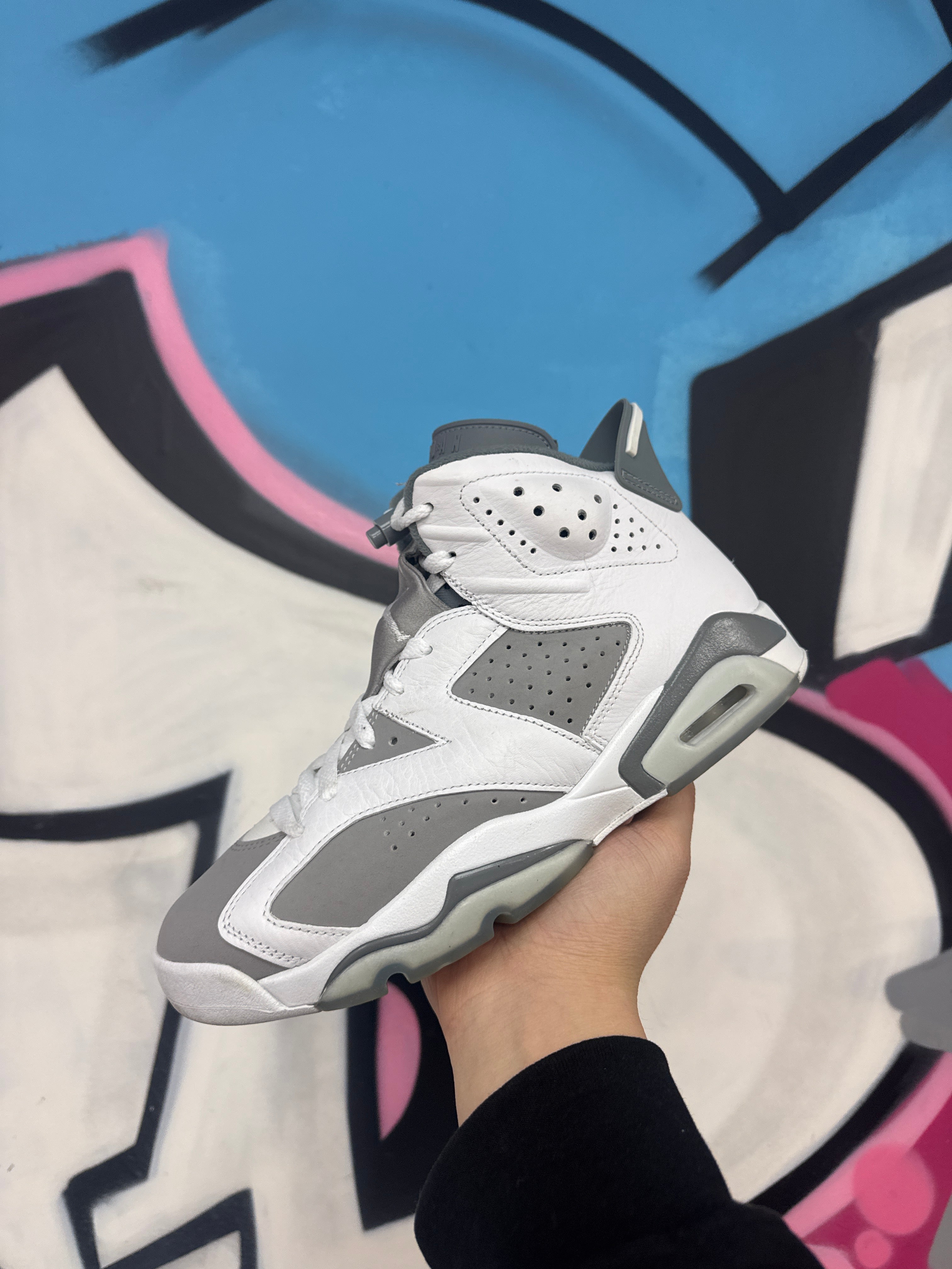 Nike Jordan 6 Cool Grey Sneakers