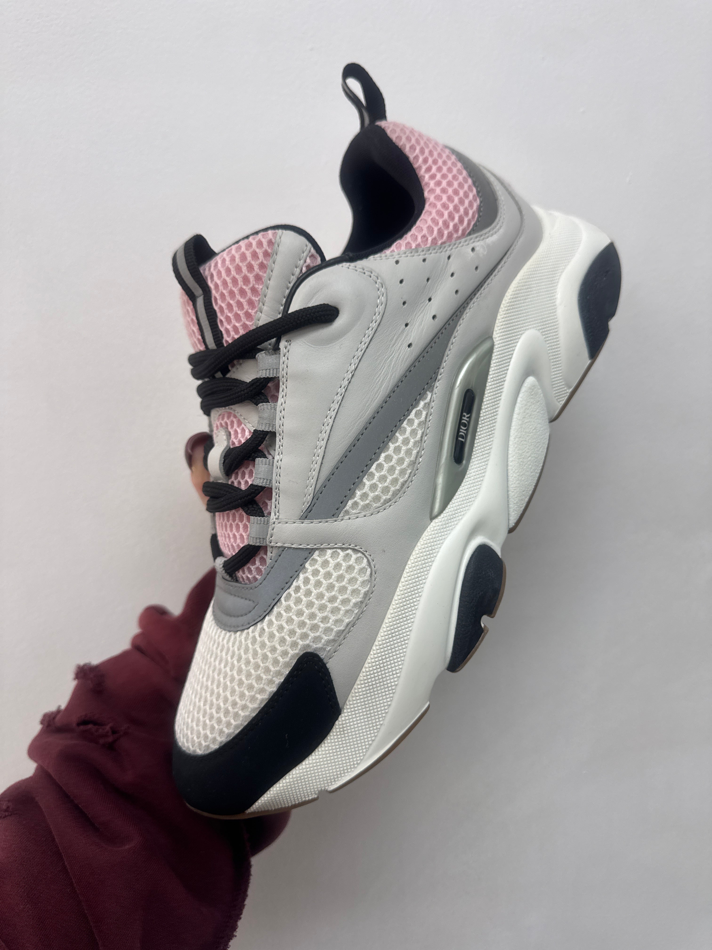 Dior Pink Gum B22 Sneakers