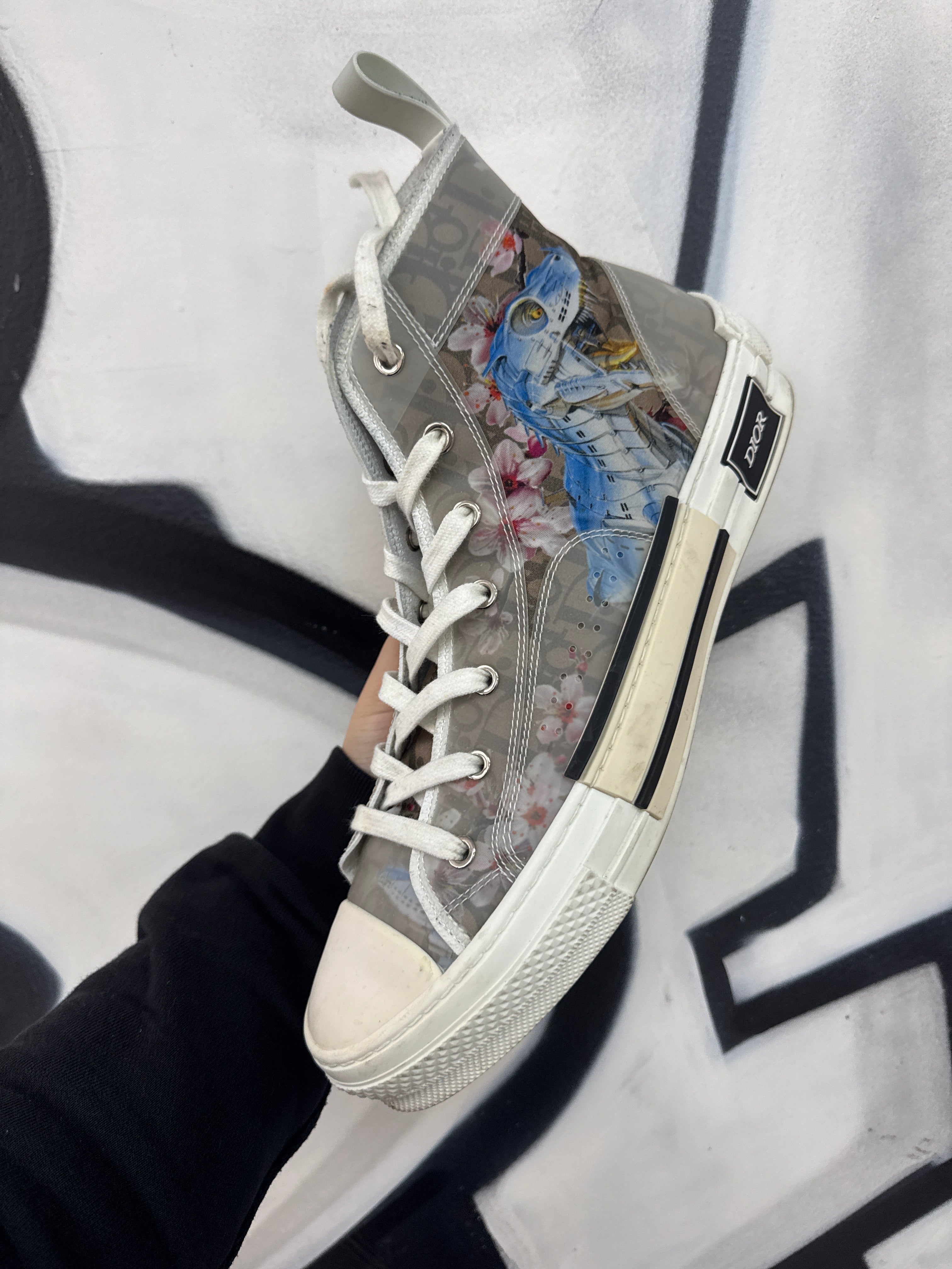 Dior B23 High Top Sorayama Sneakers