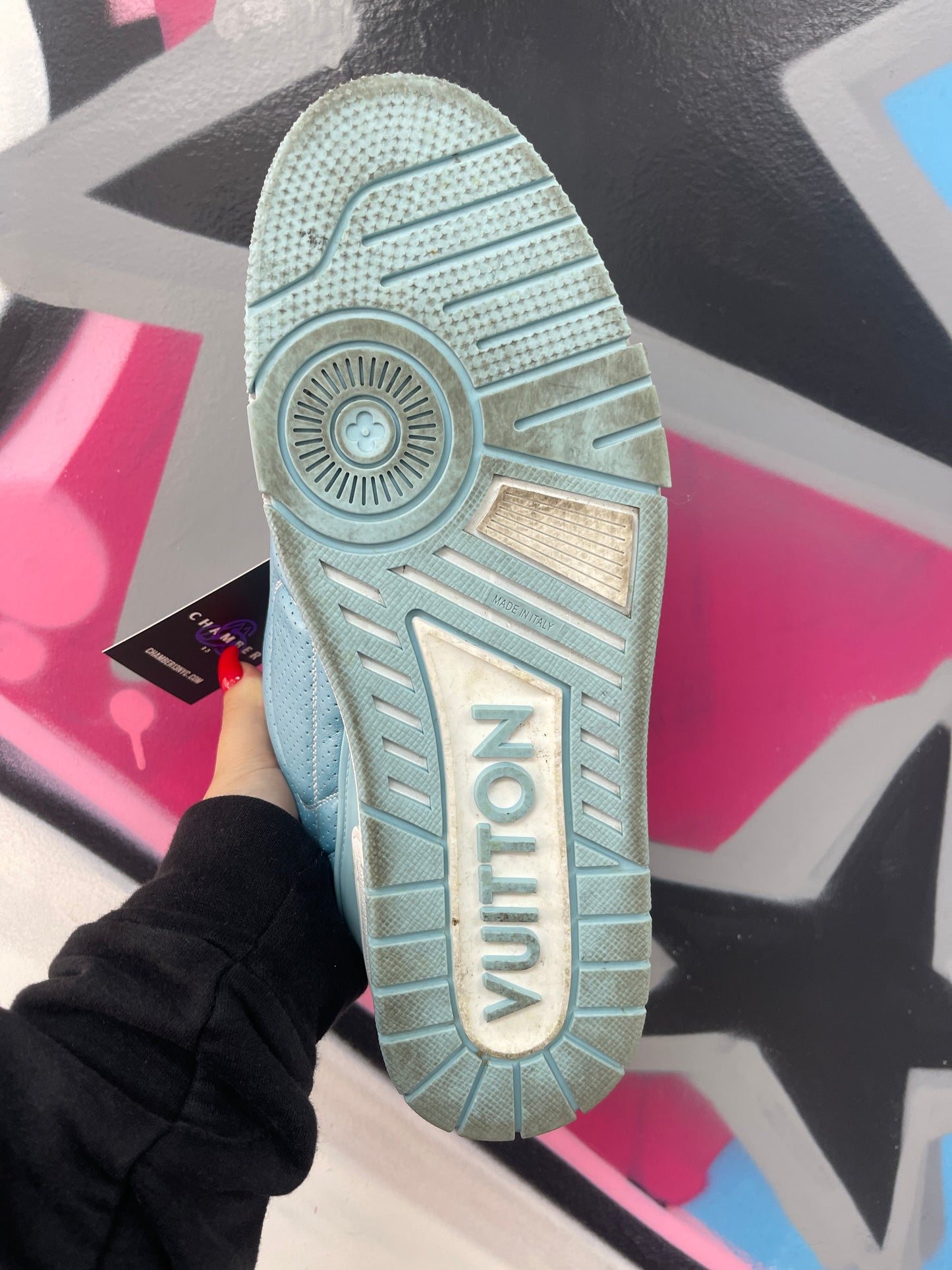 Louis Vuitton Baby Blue Skate Sneakers