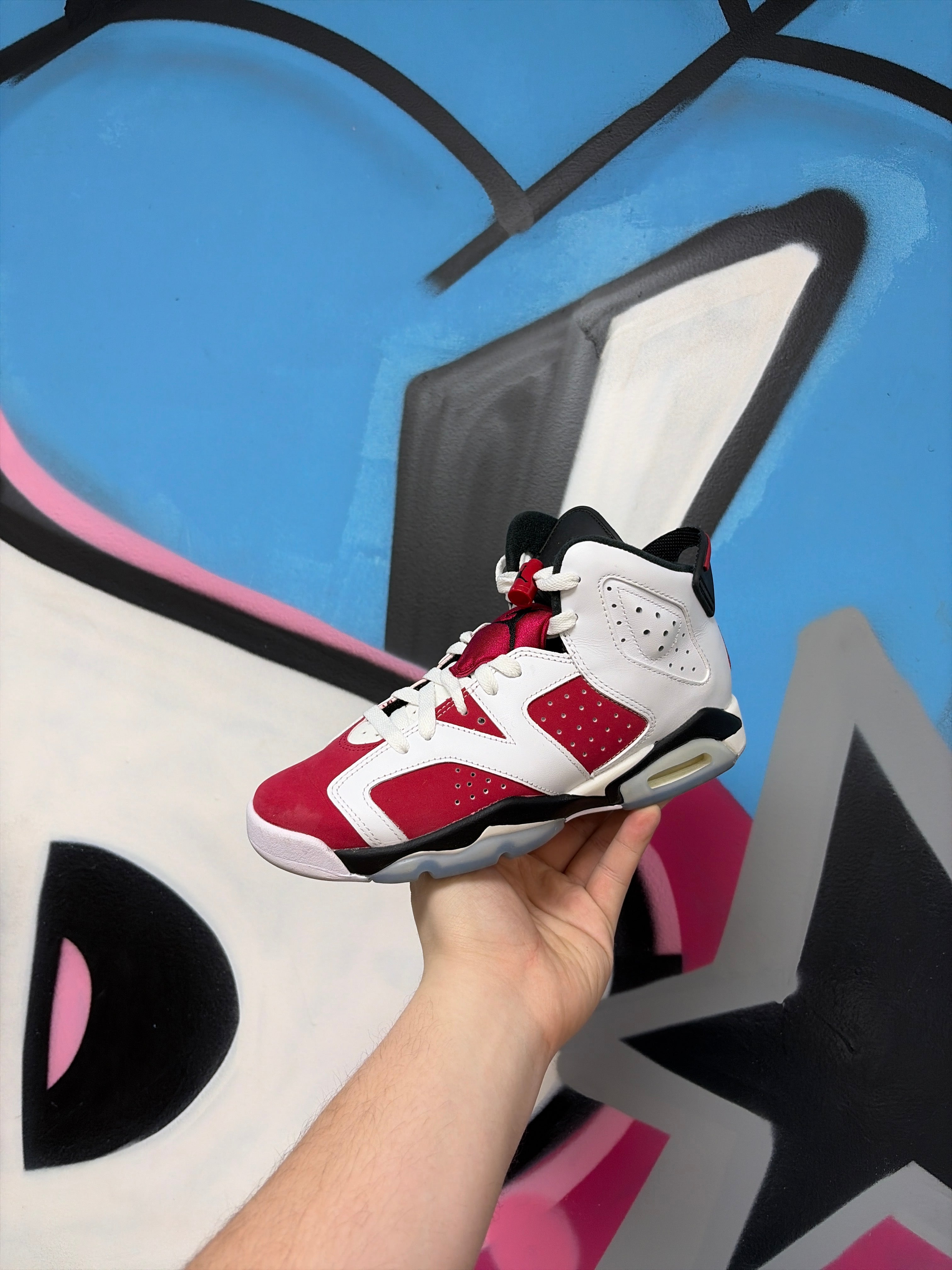 Jordan 6 Carmine Sneakers