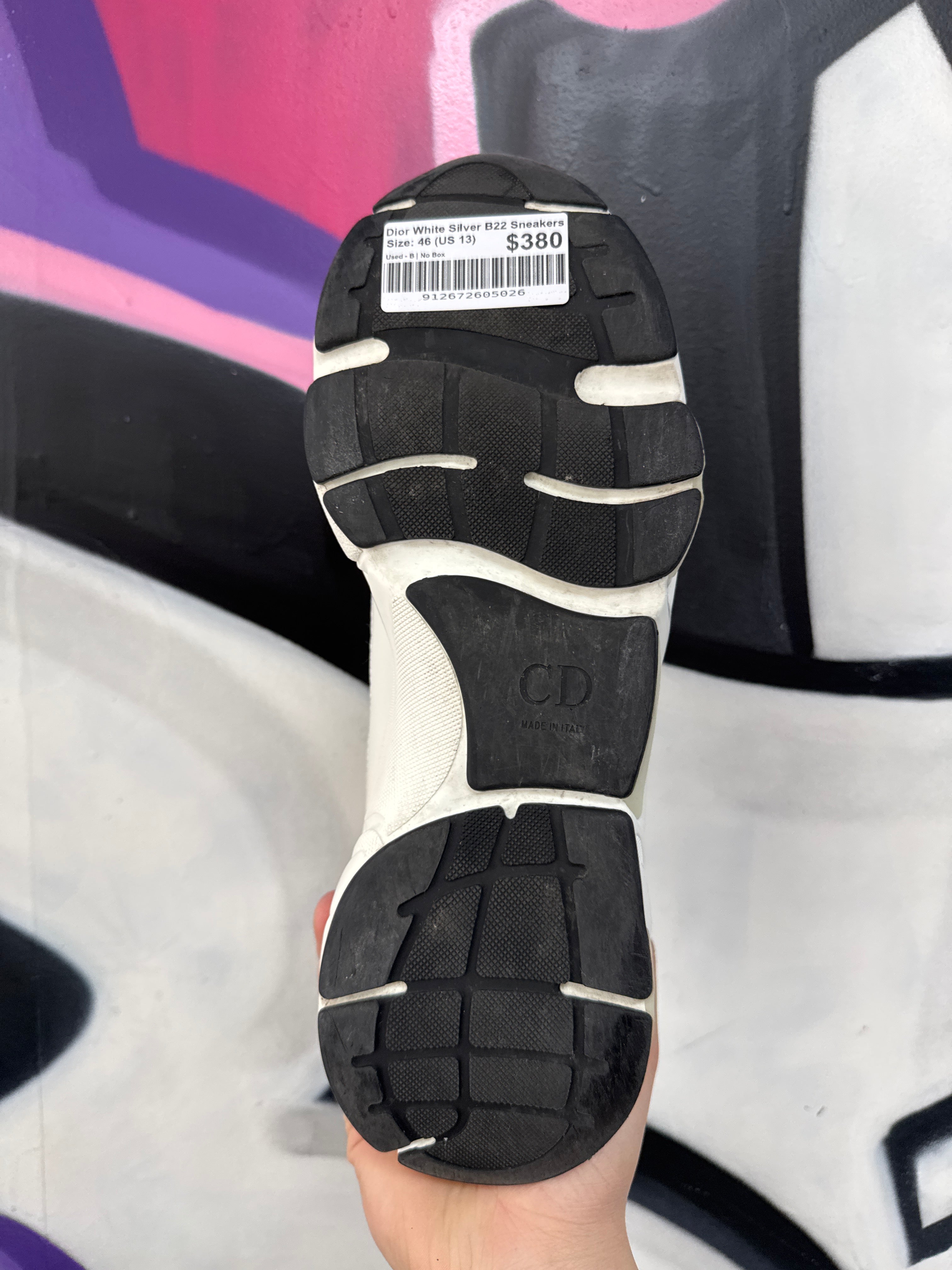 Dior White Silver B22 Sneakers