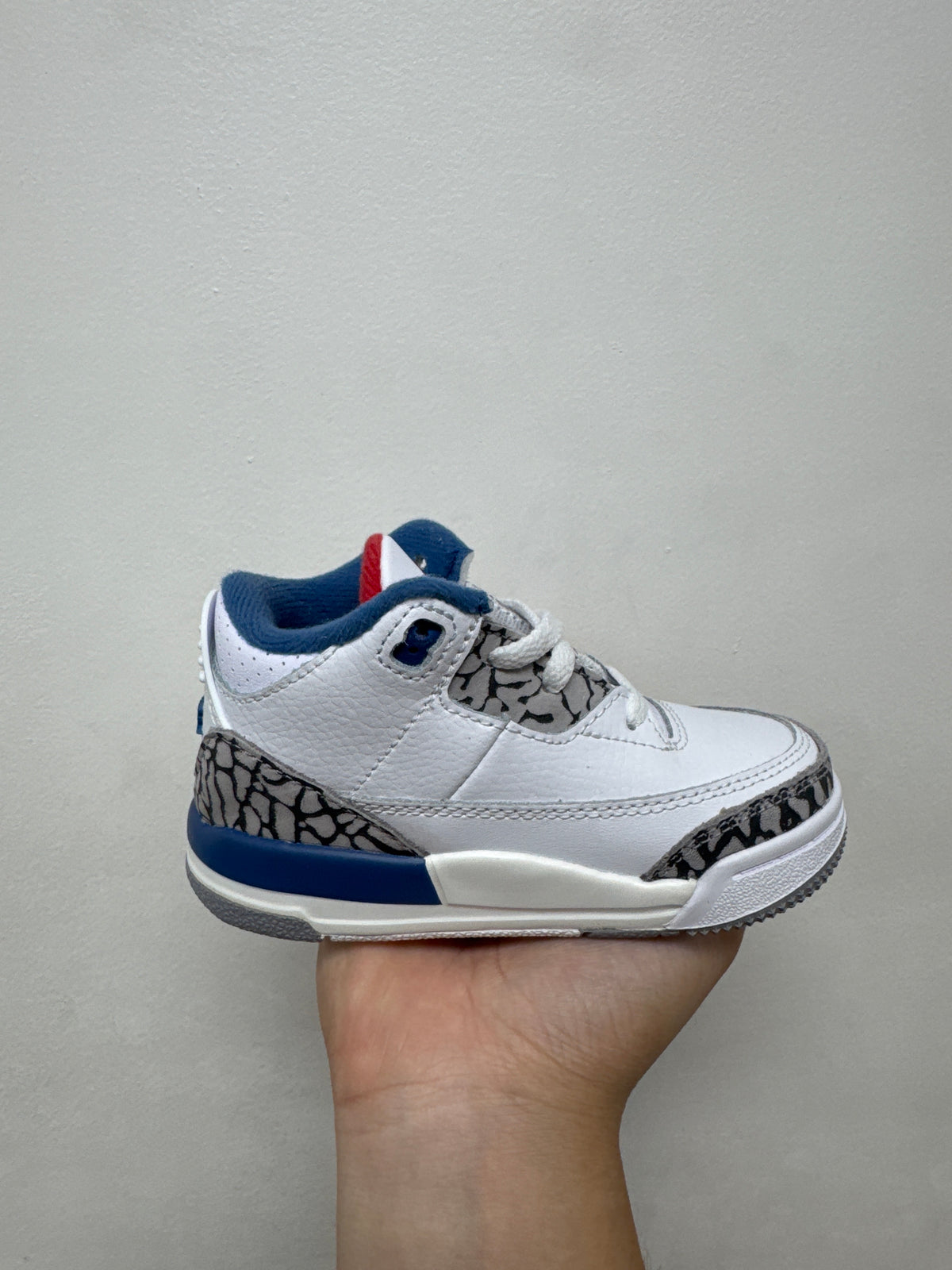Jordan 3 True Blue Sneakers