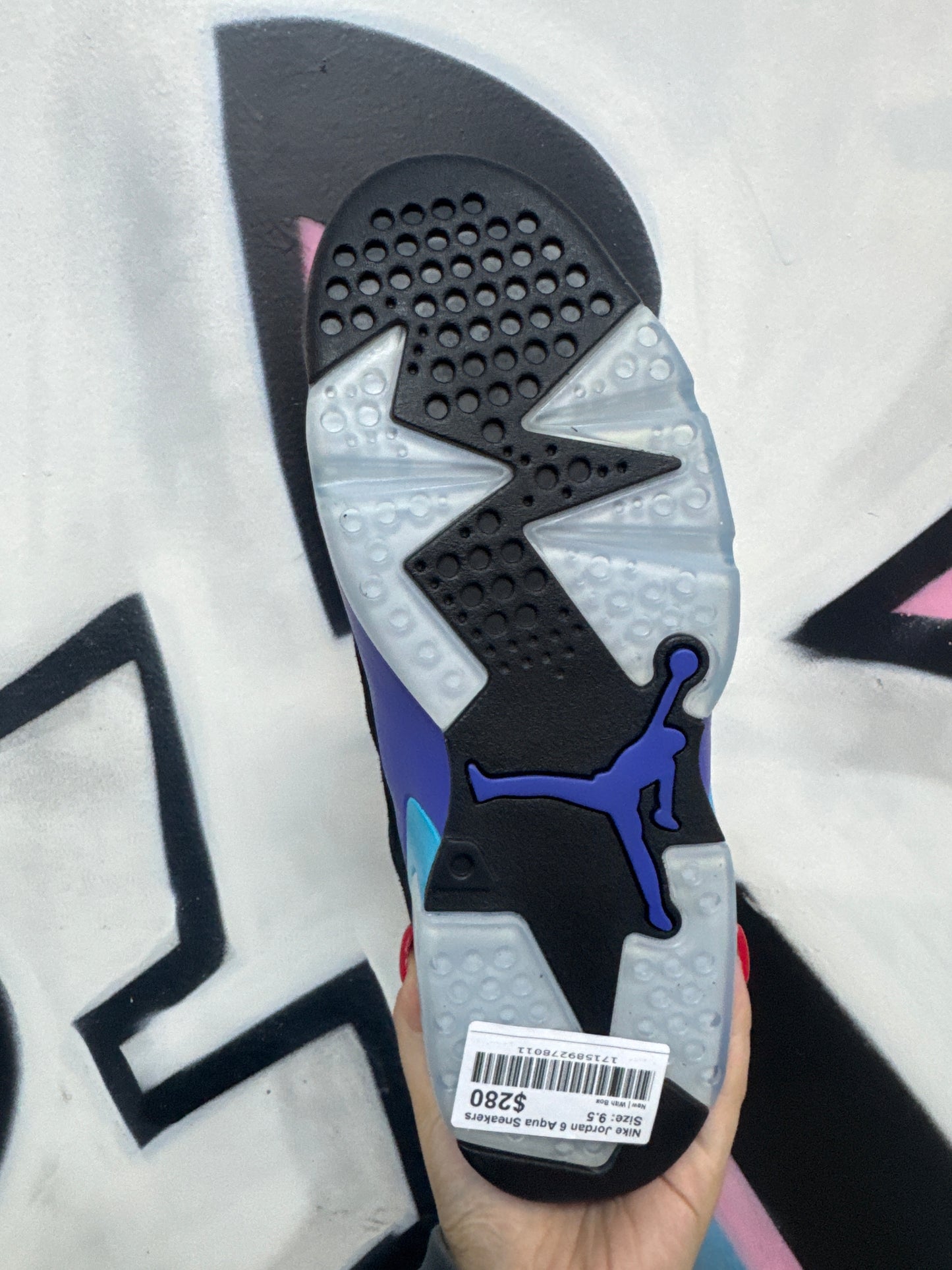 Nike Jordan 6 Aqua Sneakers