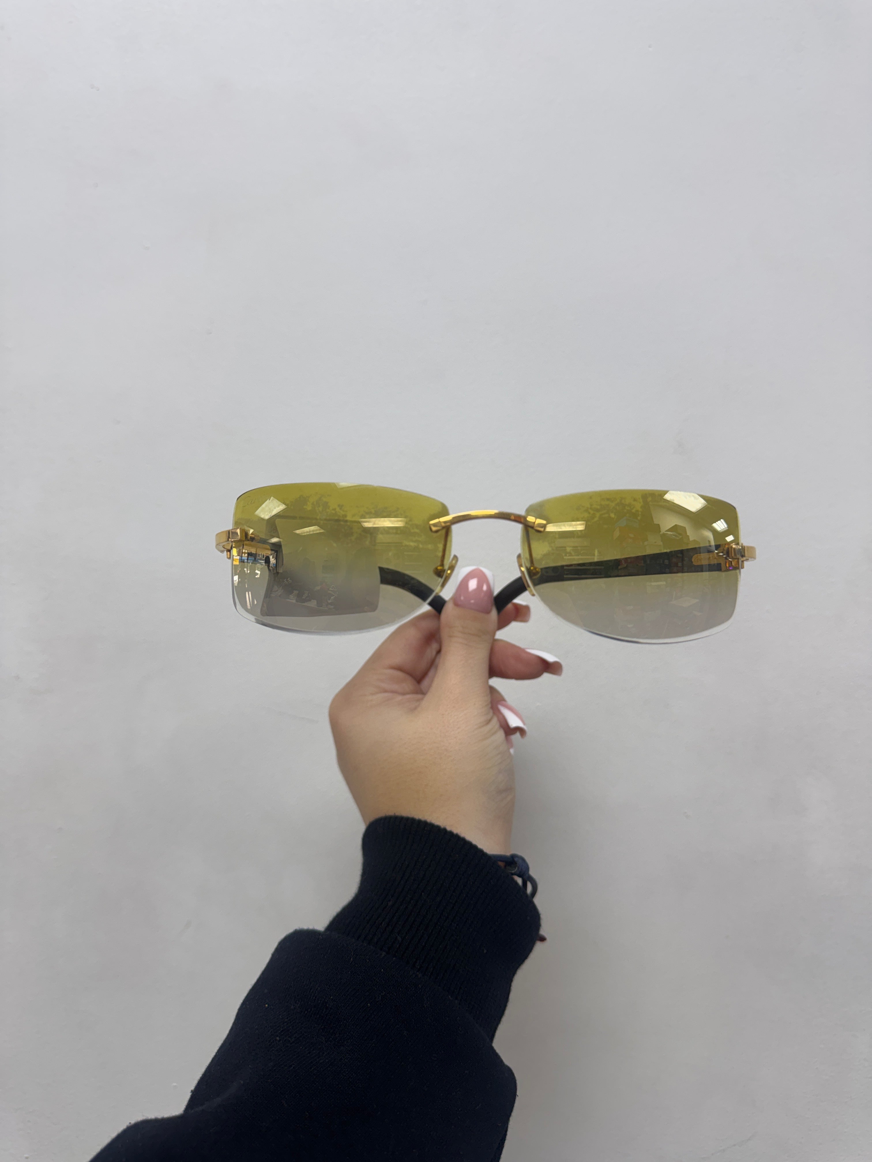 Cartier Buffalo Horn Glasses