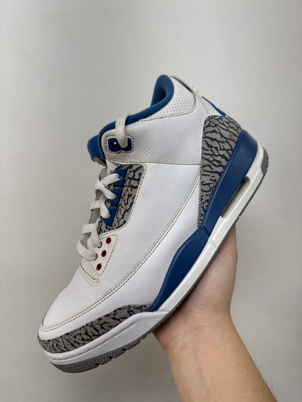 Jordan 3 True Blue Sneakers