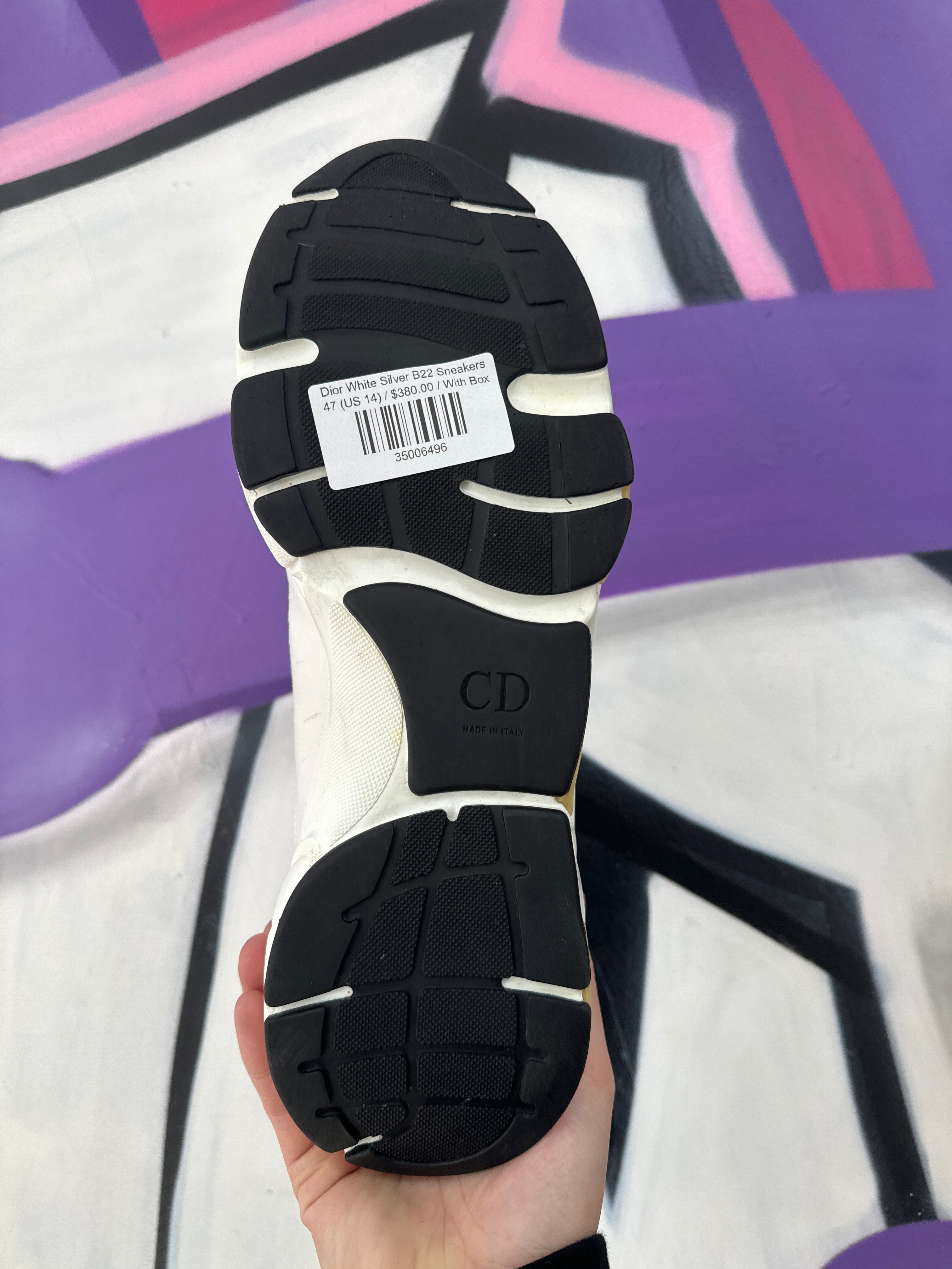 Dior White Silver B22 Sneakers