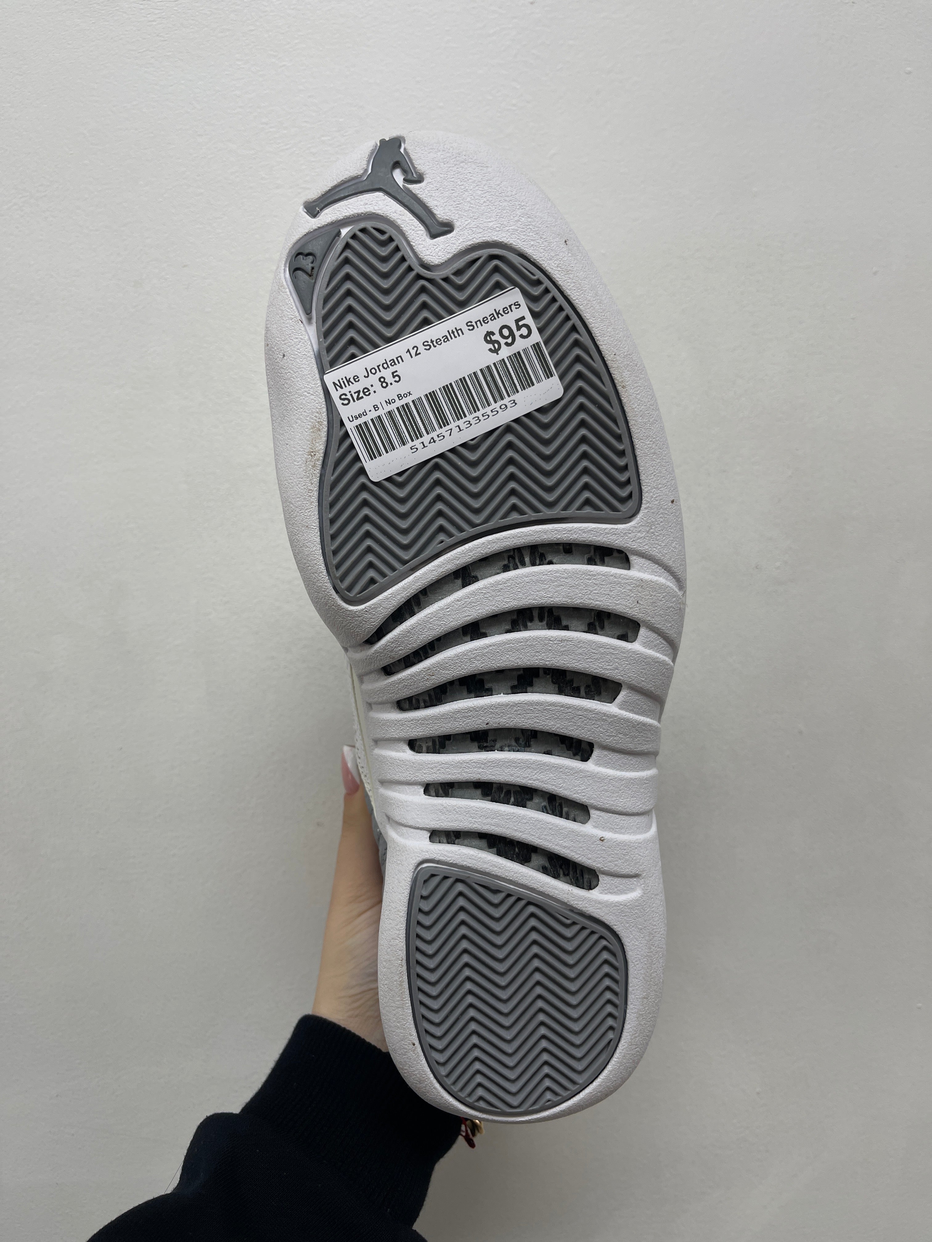 Nike Jordan 12 Stealth Sneakers