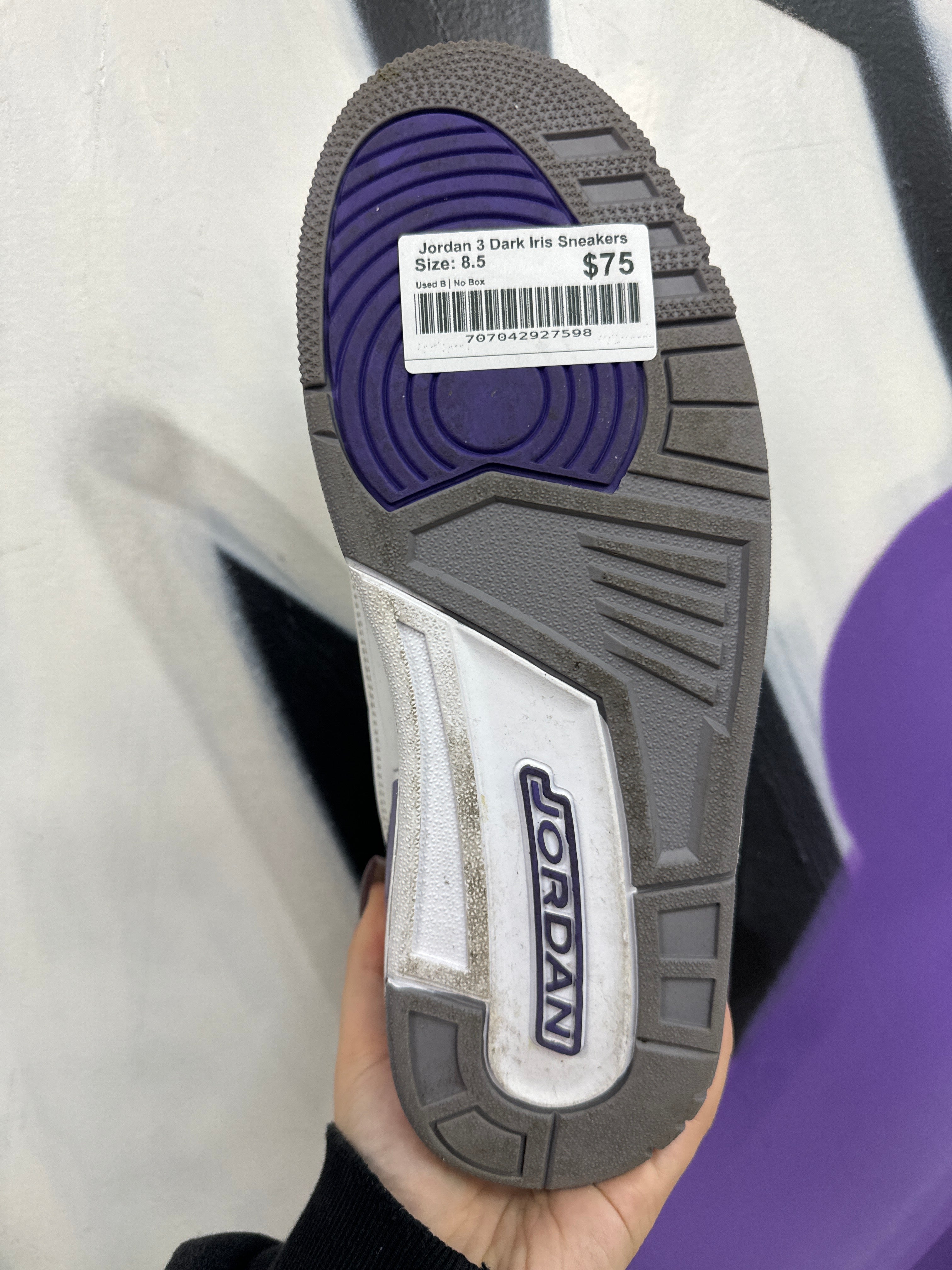 Jordan 3 Dark Iris Sneakers