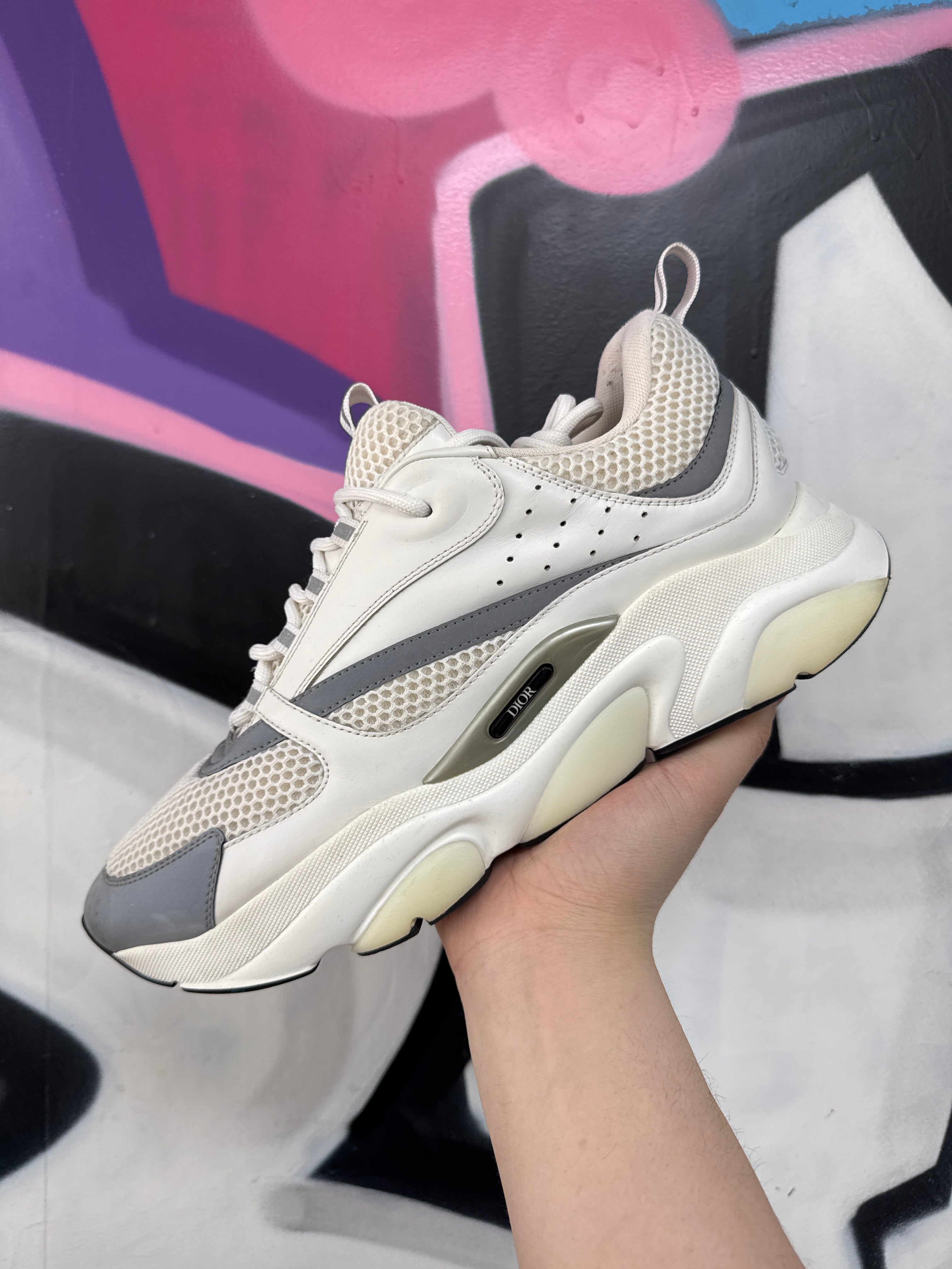 Dior White Silver B22 Sneakers