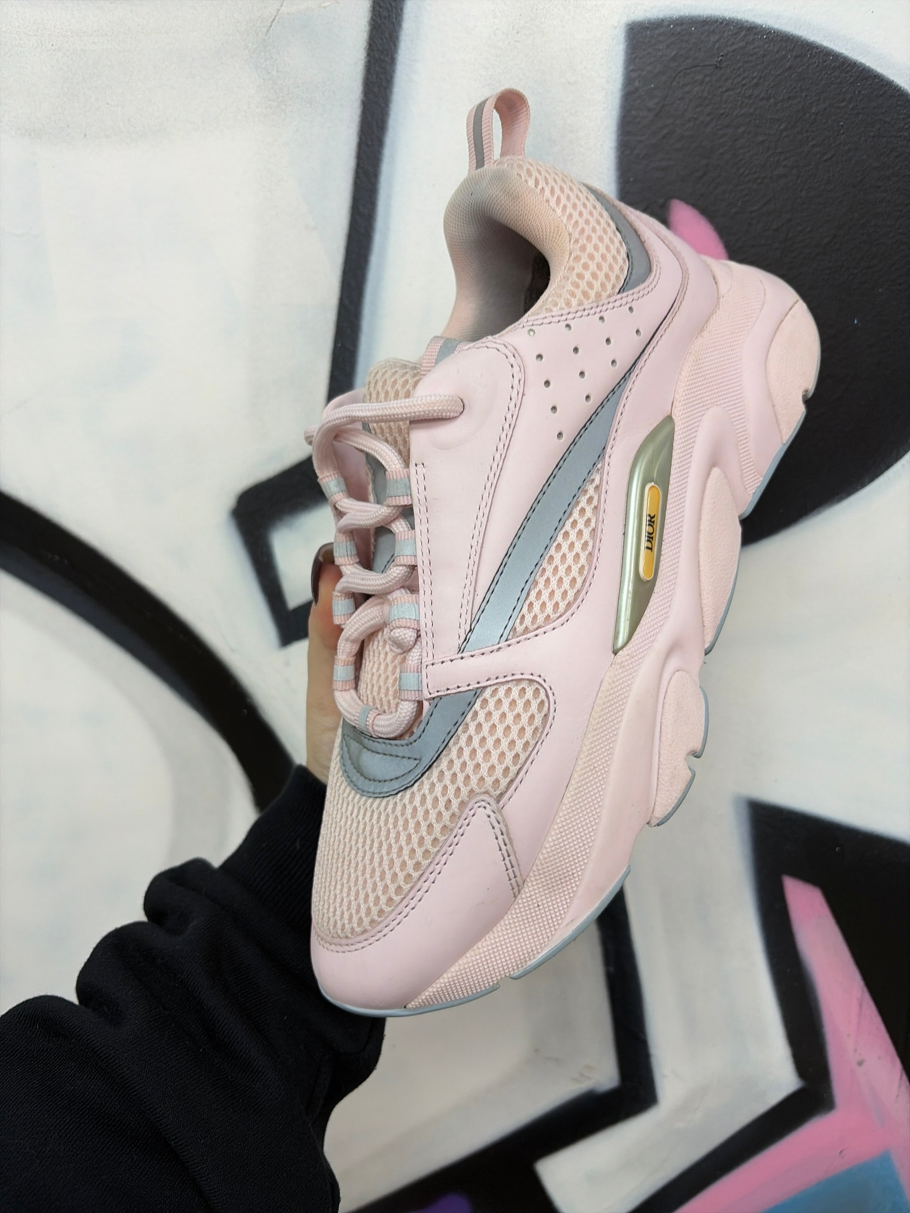 Dior Pink Baby Blue B22 Sneakers