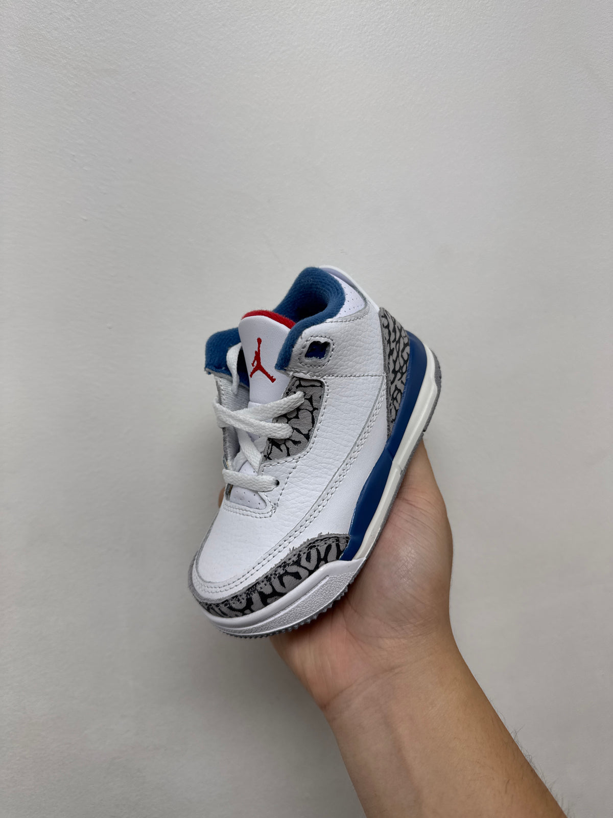 Jordan 3 True Blue Sneakers