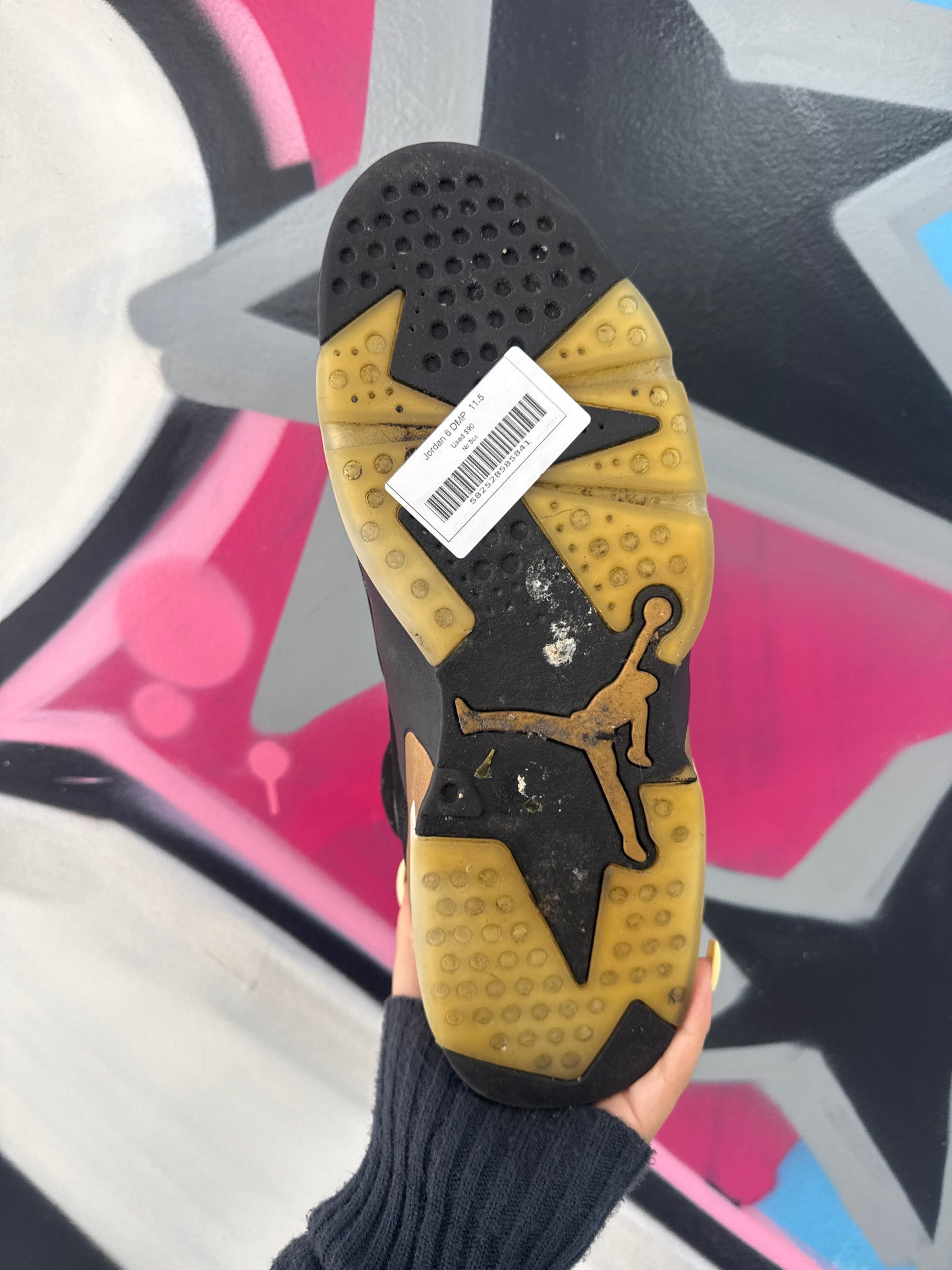 Jordan 6 DMP Used No Box