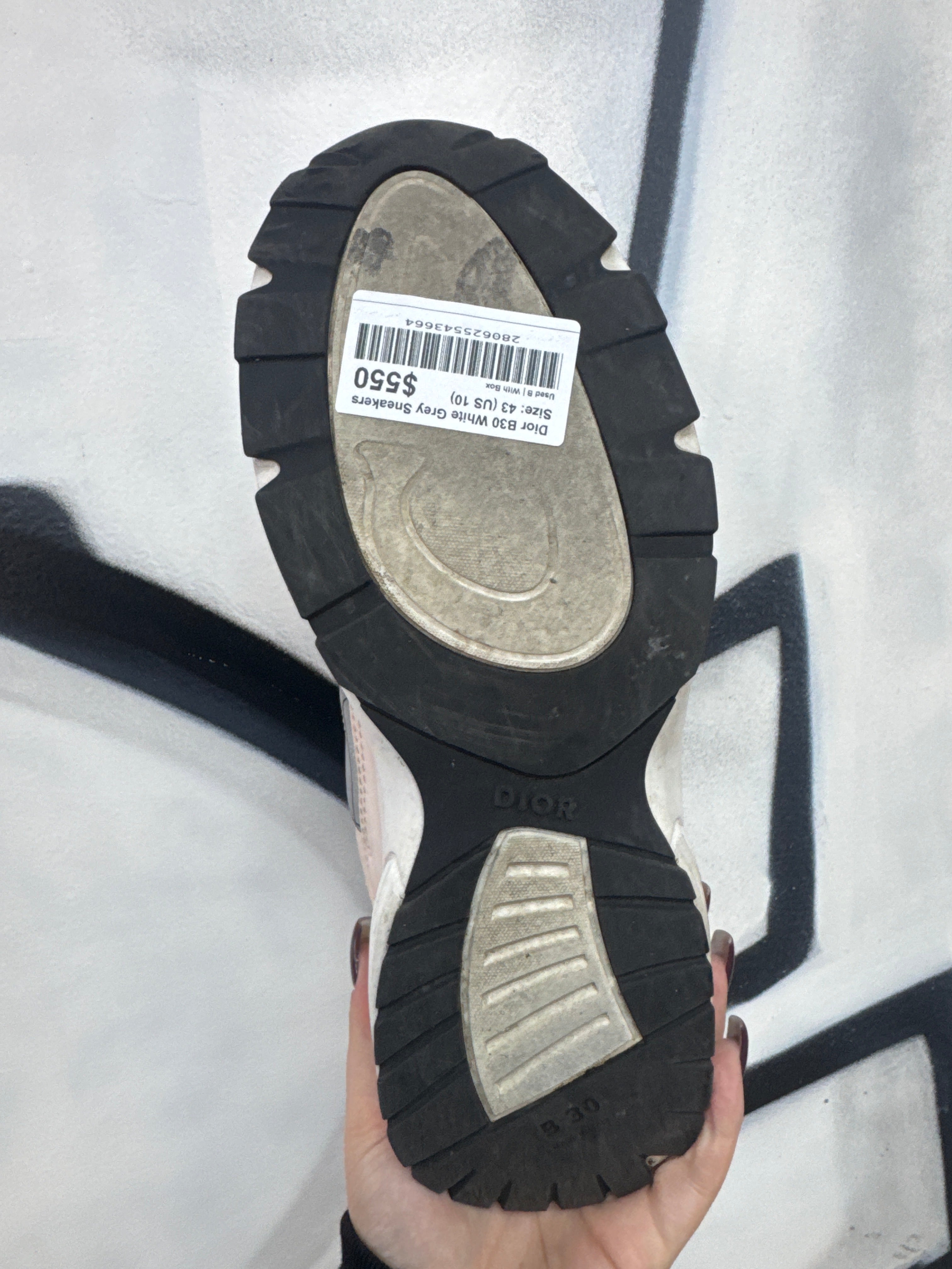 Dior B30 White Grey Sneakers