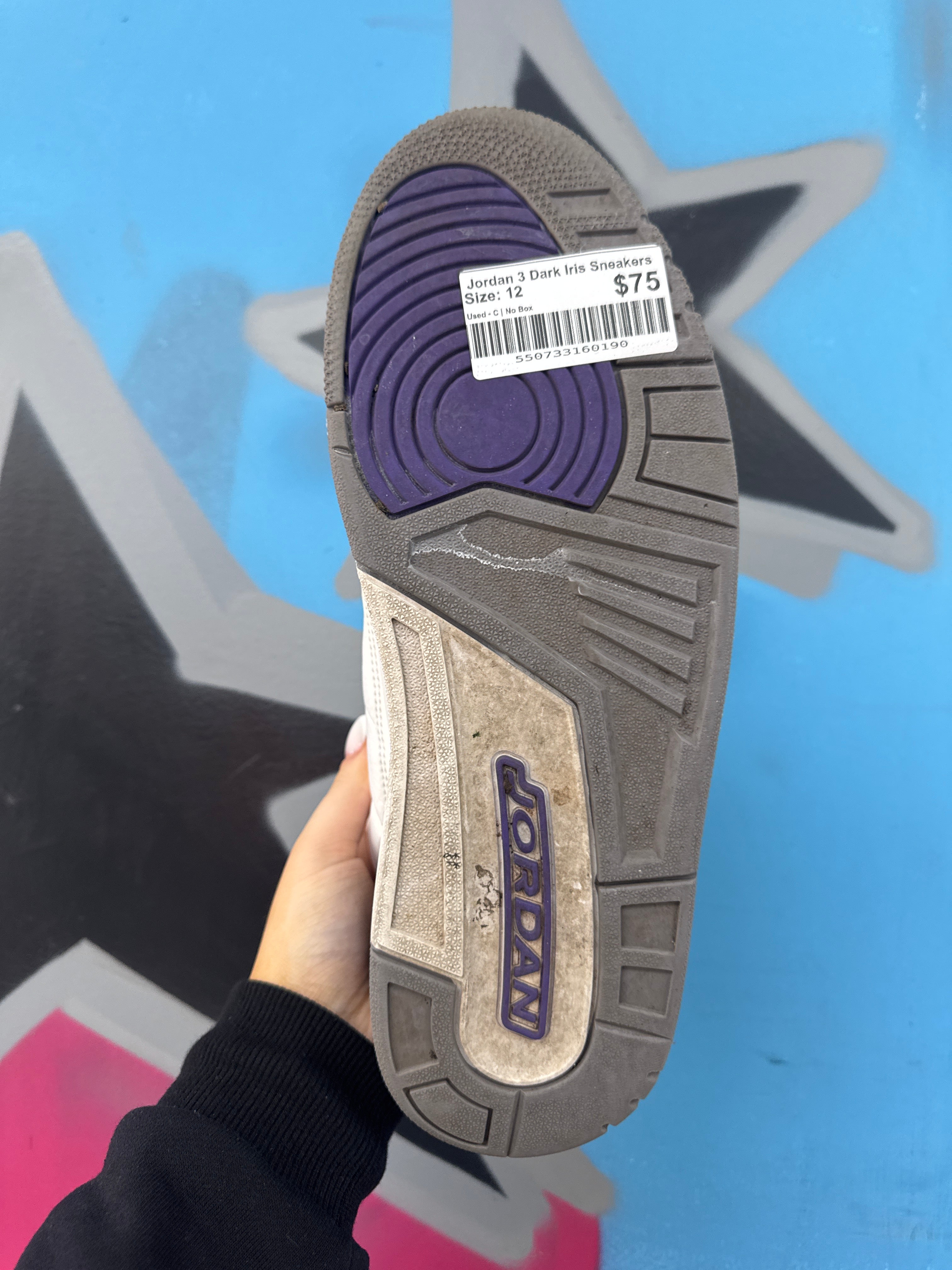 Jordan 3 Dark Iris Sneakers