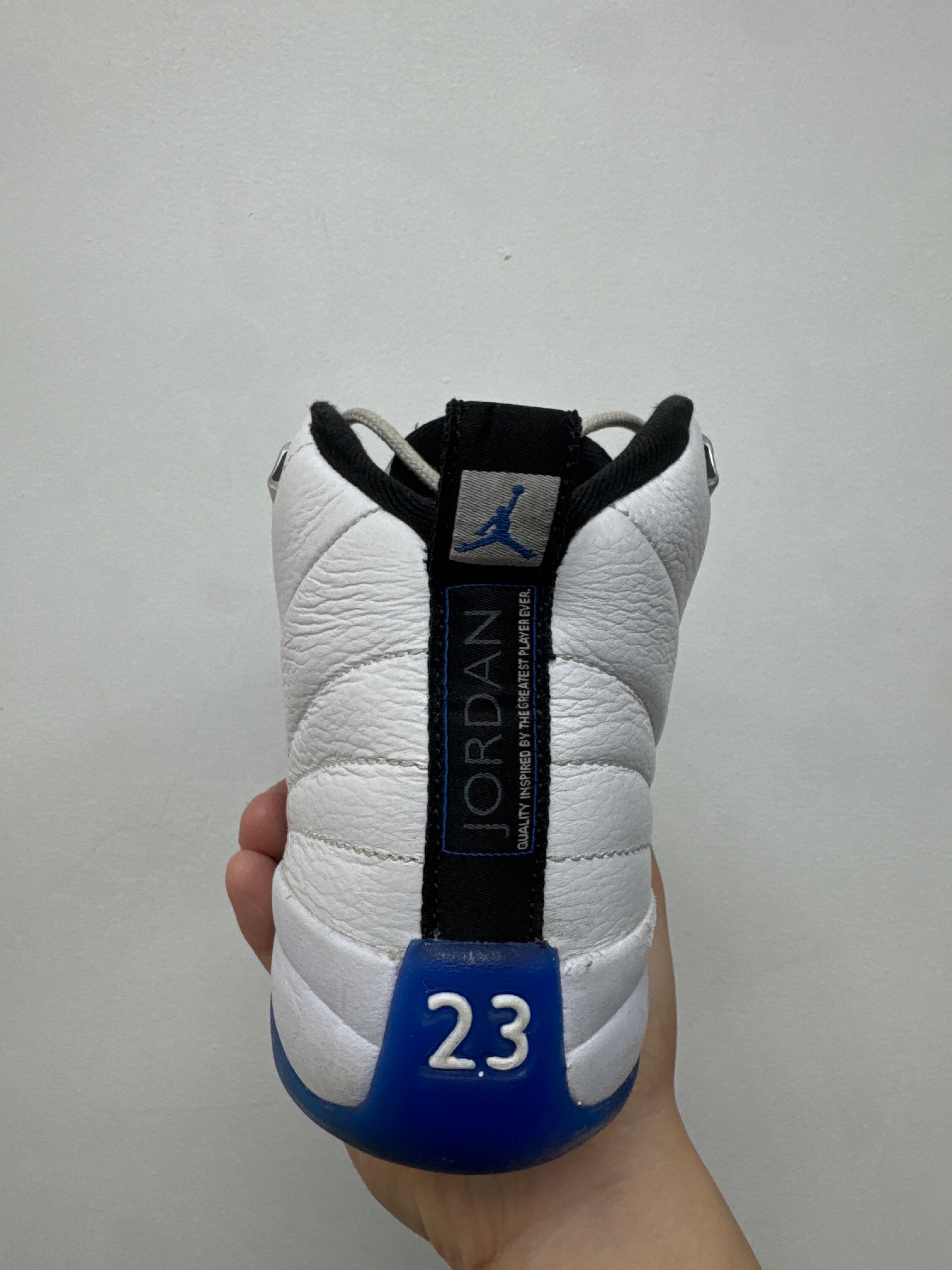 Jordan 12 Blueberry Sneakers