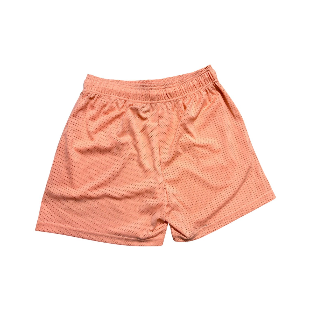 Eric Emanuel Basics Salmon & Blue Shorts
