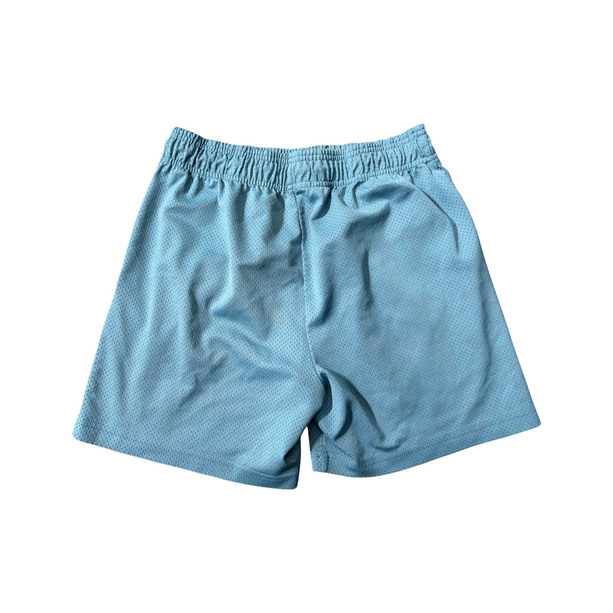 Eric Emanuel Baby Blue & Burgundy Shorts