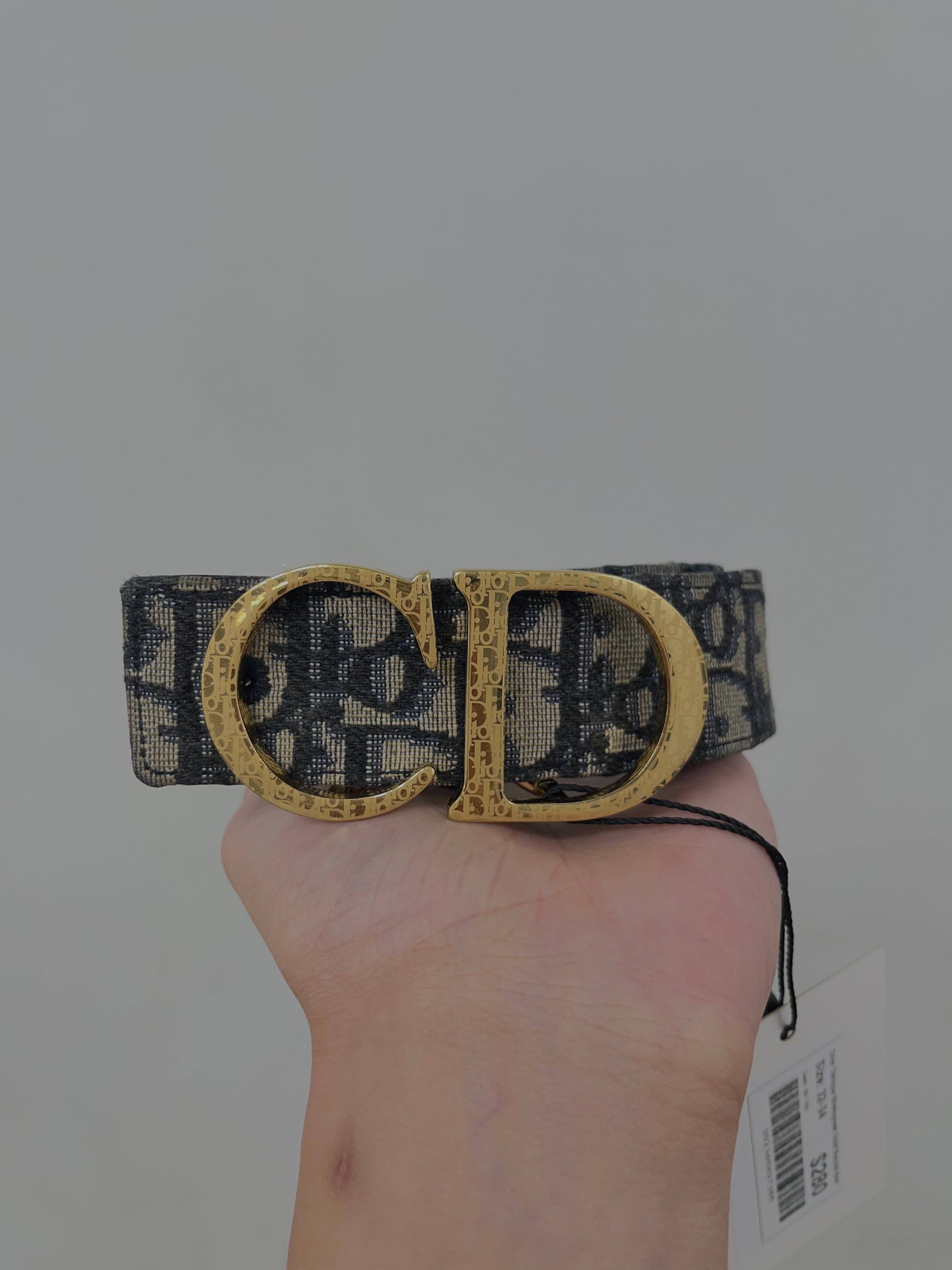 Dior Oblique Monogram Gold Buckle Belt
