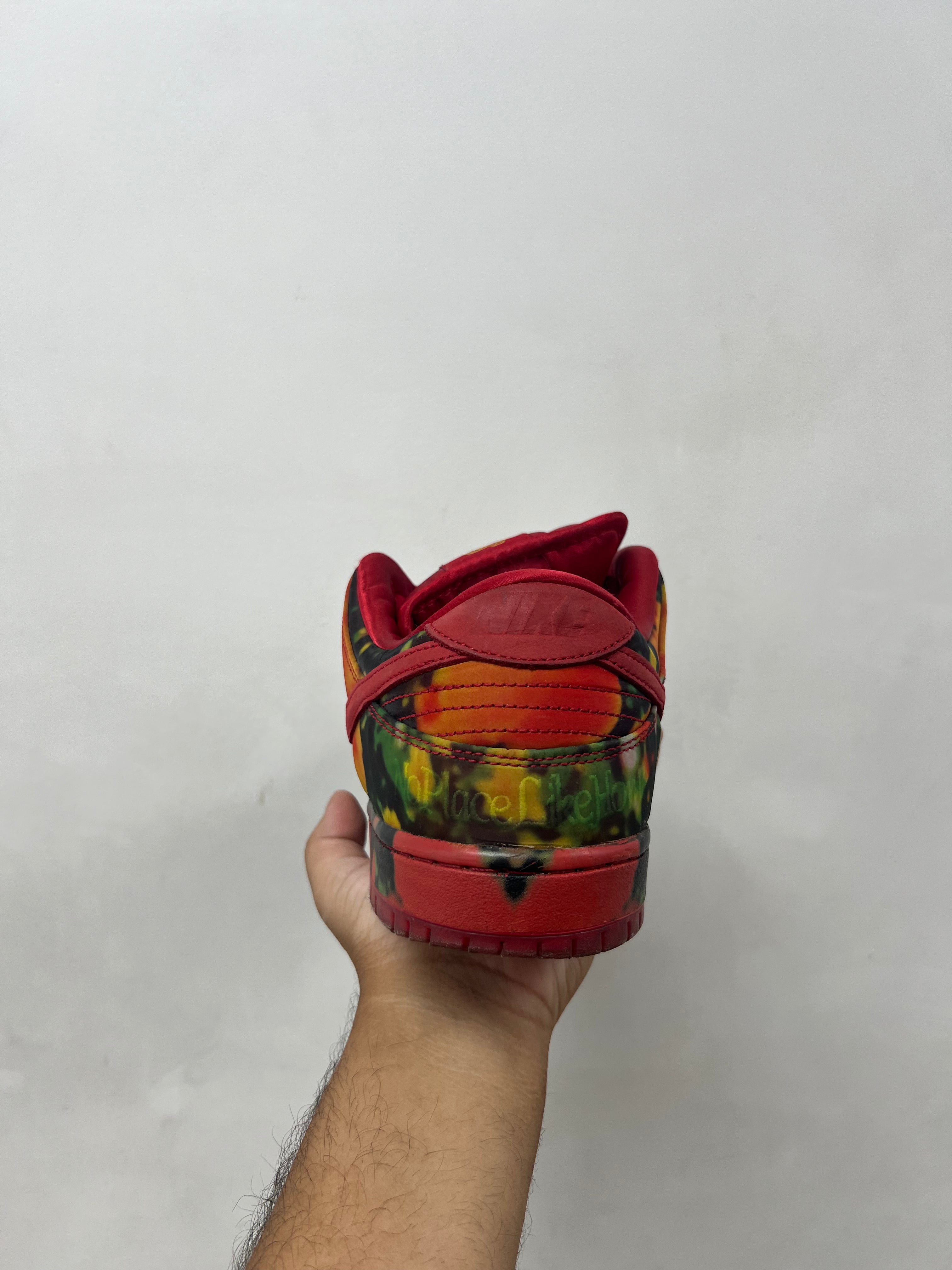 Nike Dunk Low Wizard of OZ Sneakers