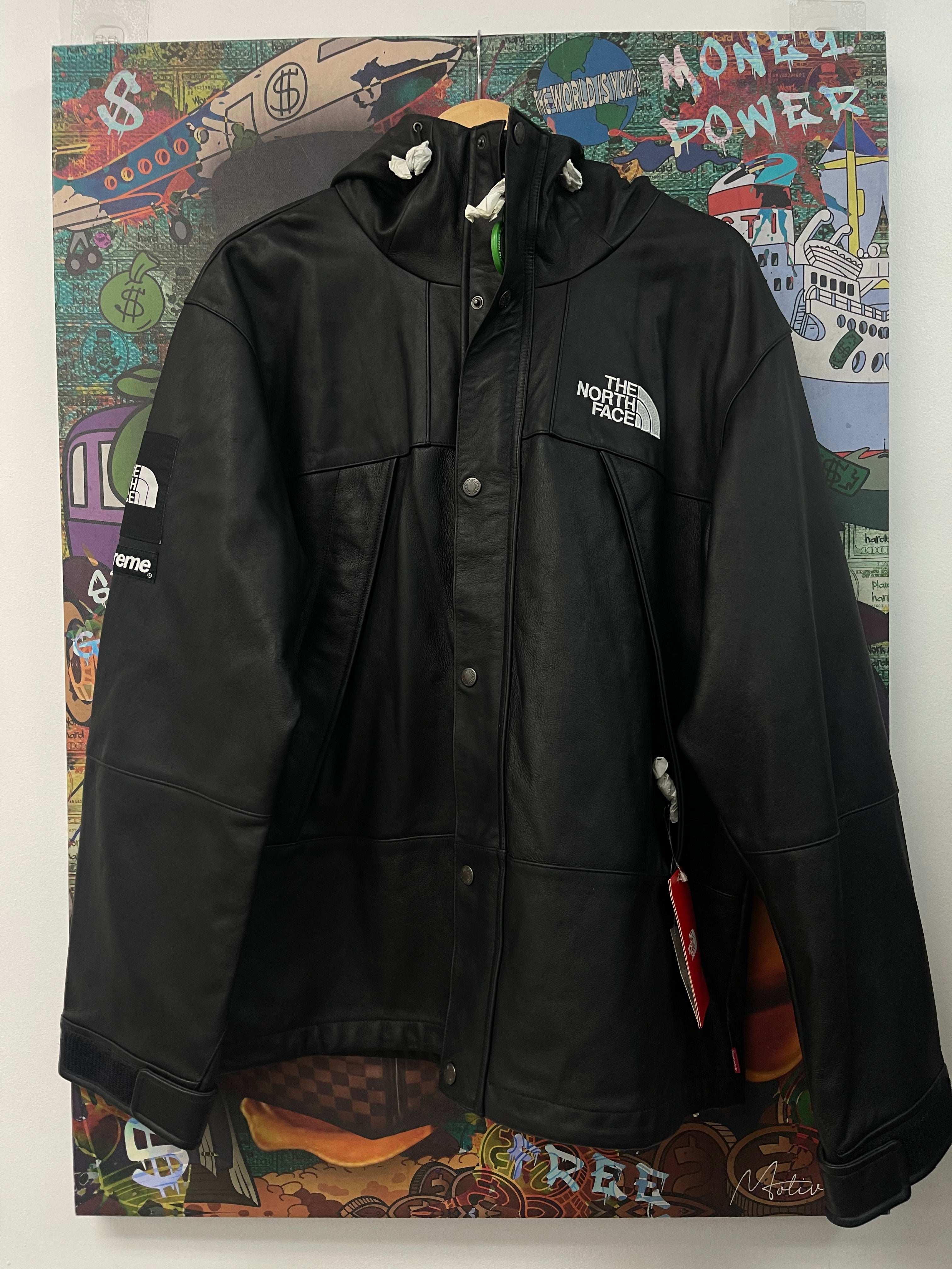 Supreme The North Face Leather Mountain Parka Jacket