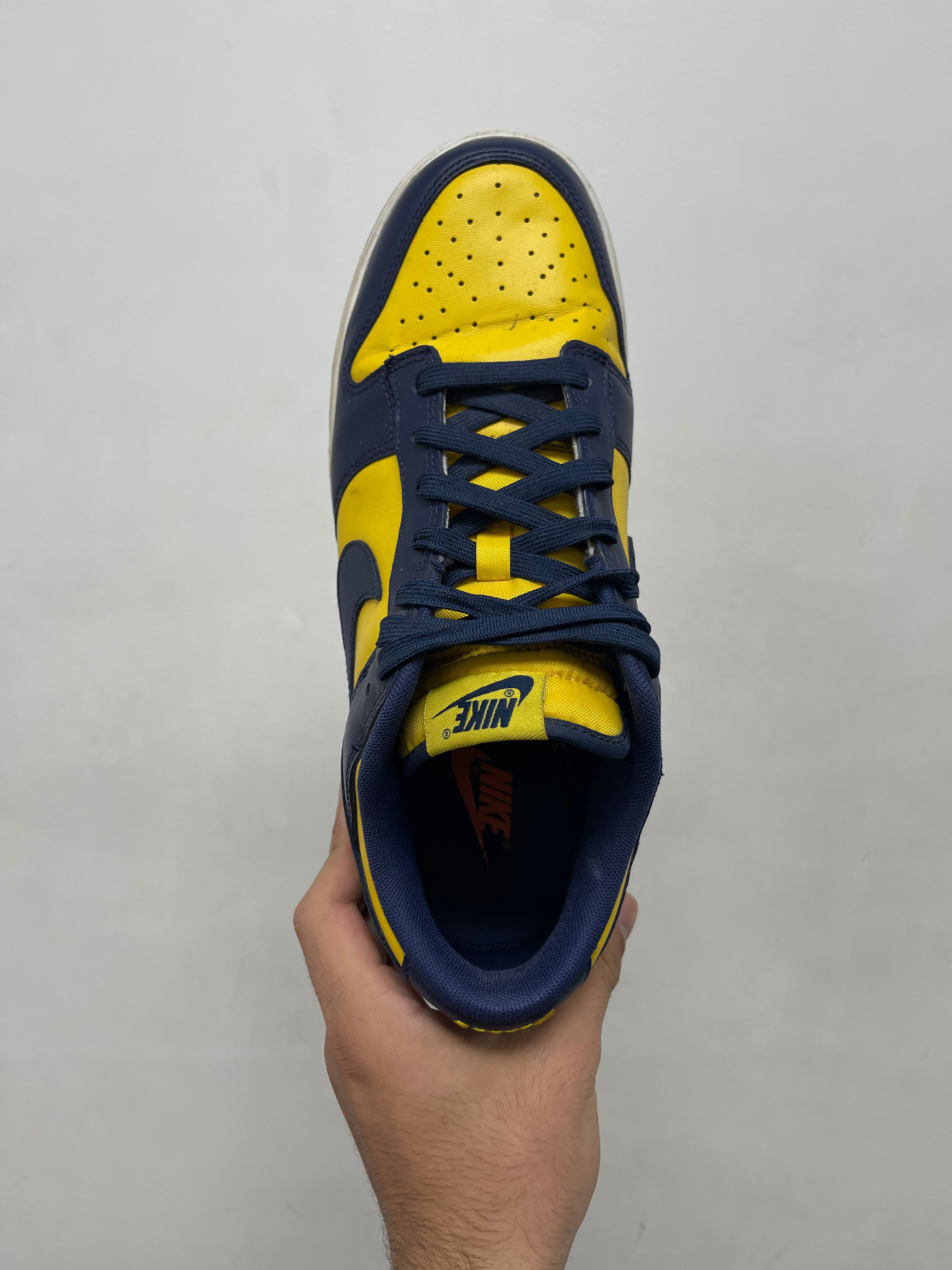 Nike Dunk Low Michigan Sneakers