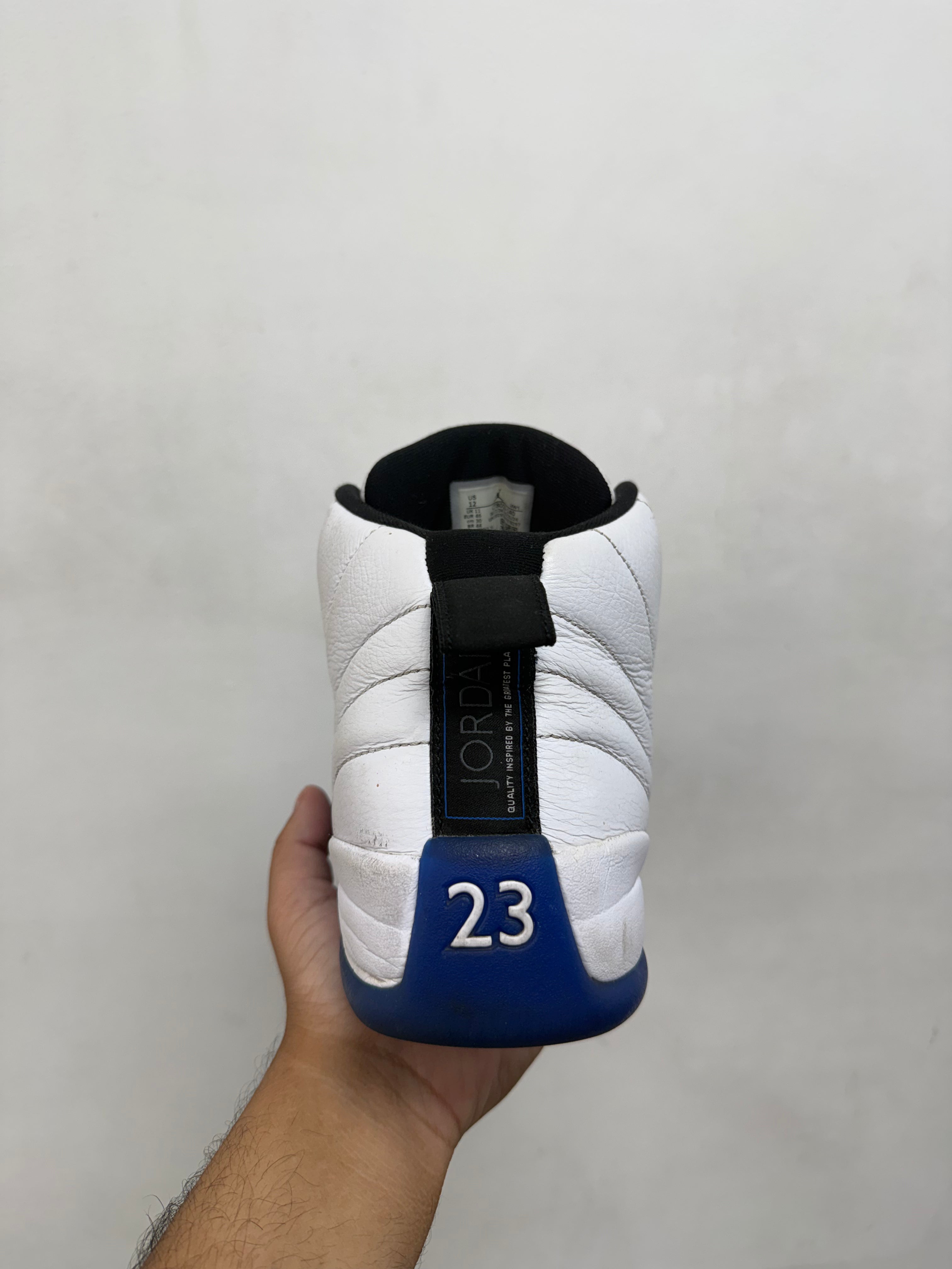 Jordan 12 Blueberry Sneakers