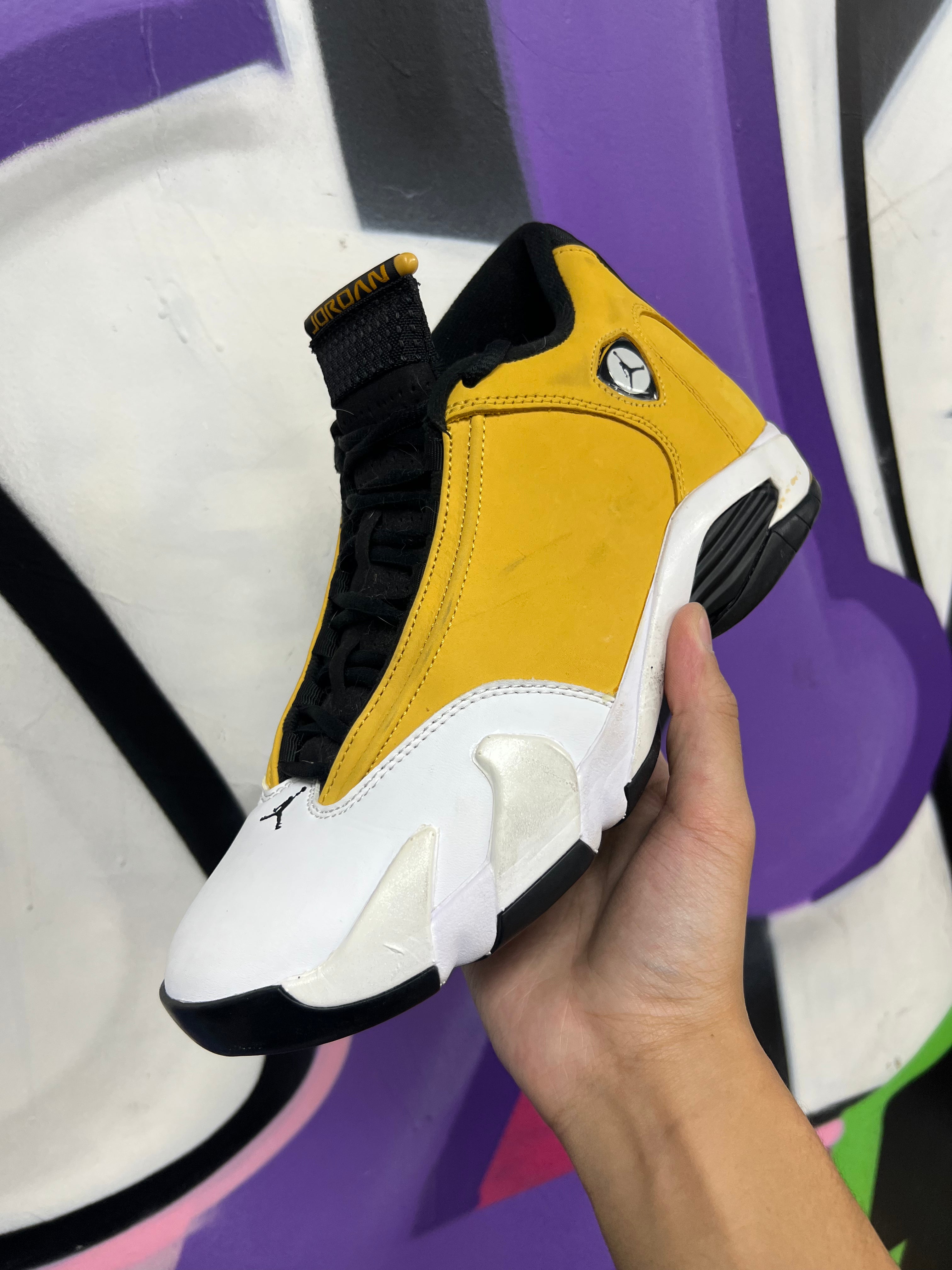 Jordan 14 Ginger Sneakers