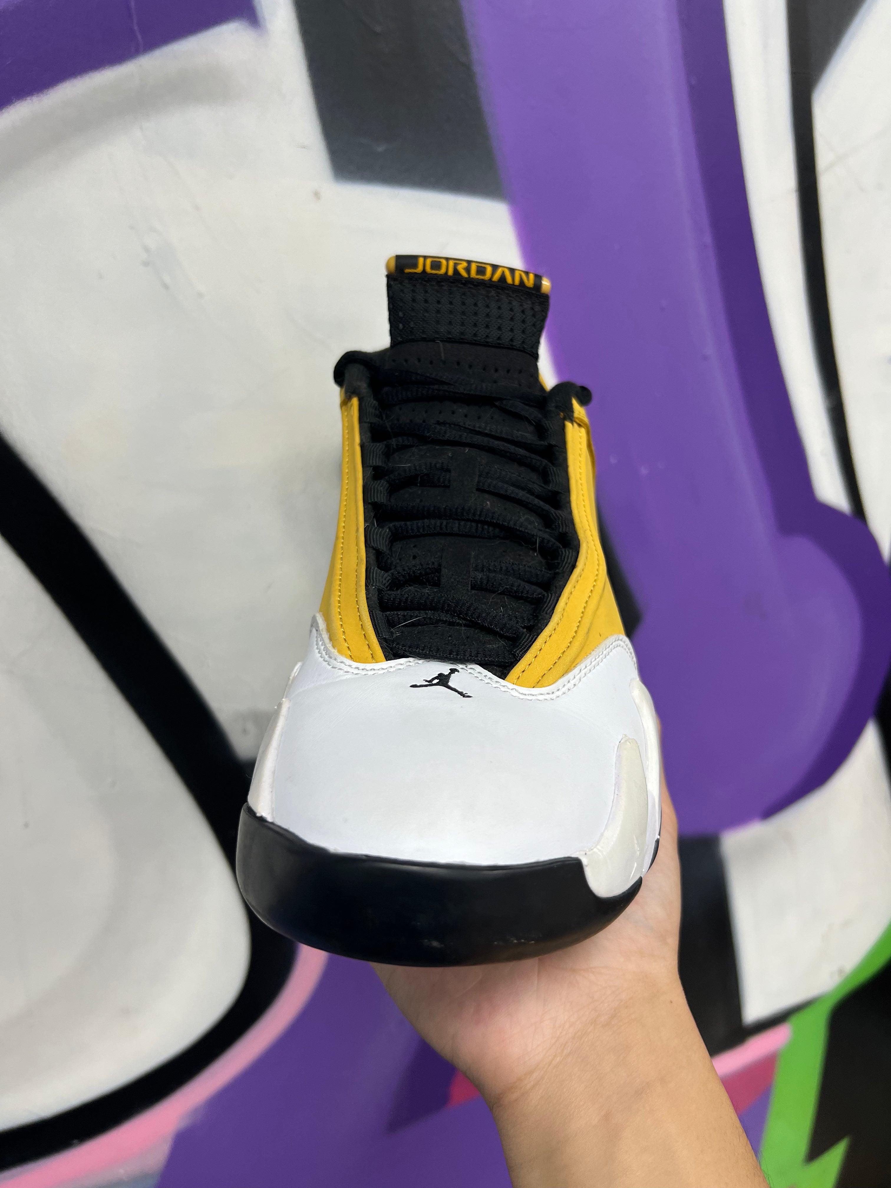 Jordan 14 Ginger Sneakers