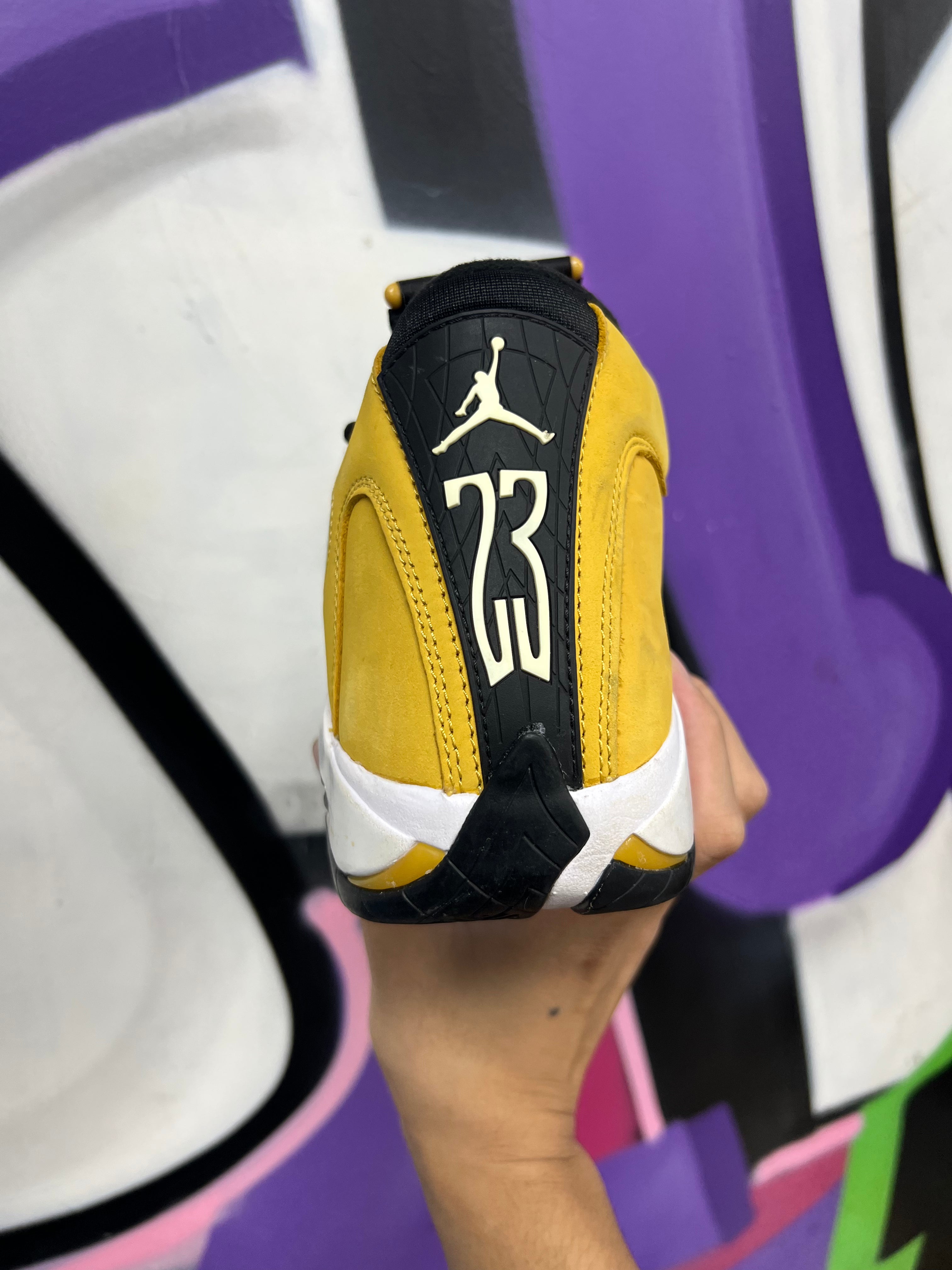 Jordan 14 Ginger Sneakers
