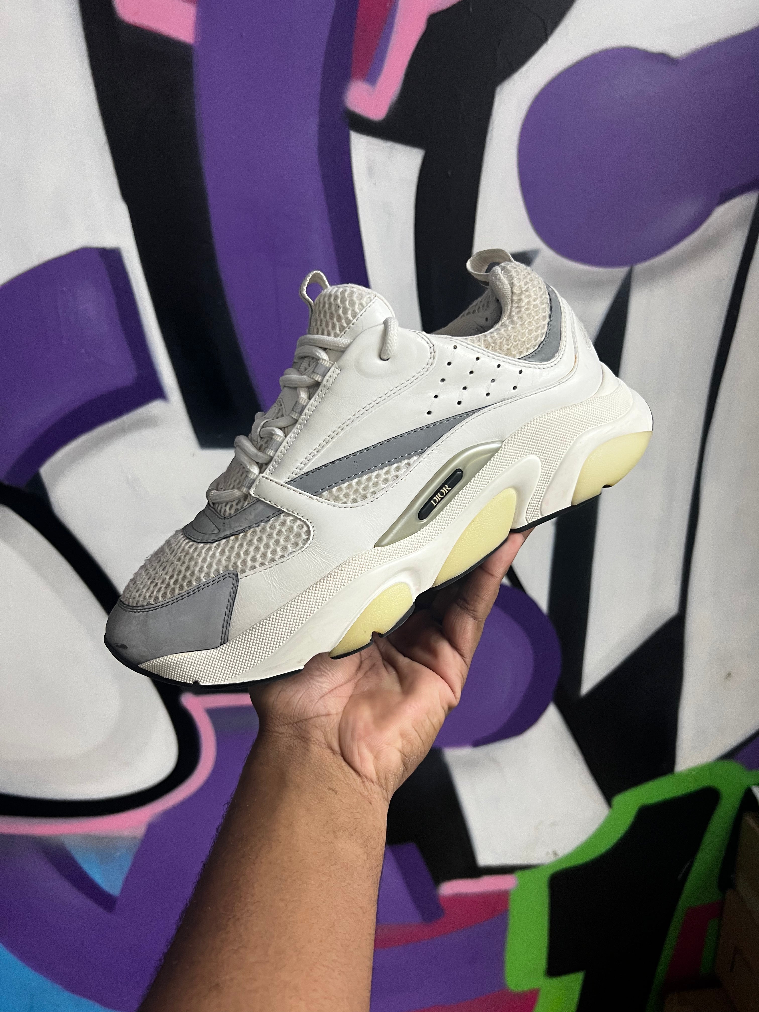 Dior White Silver Sneakers