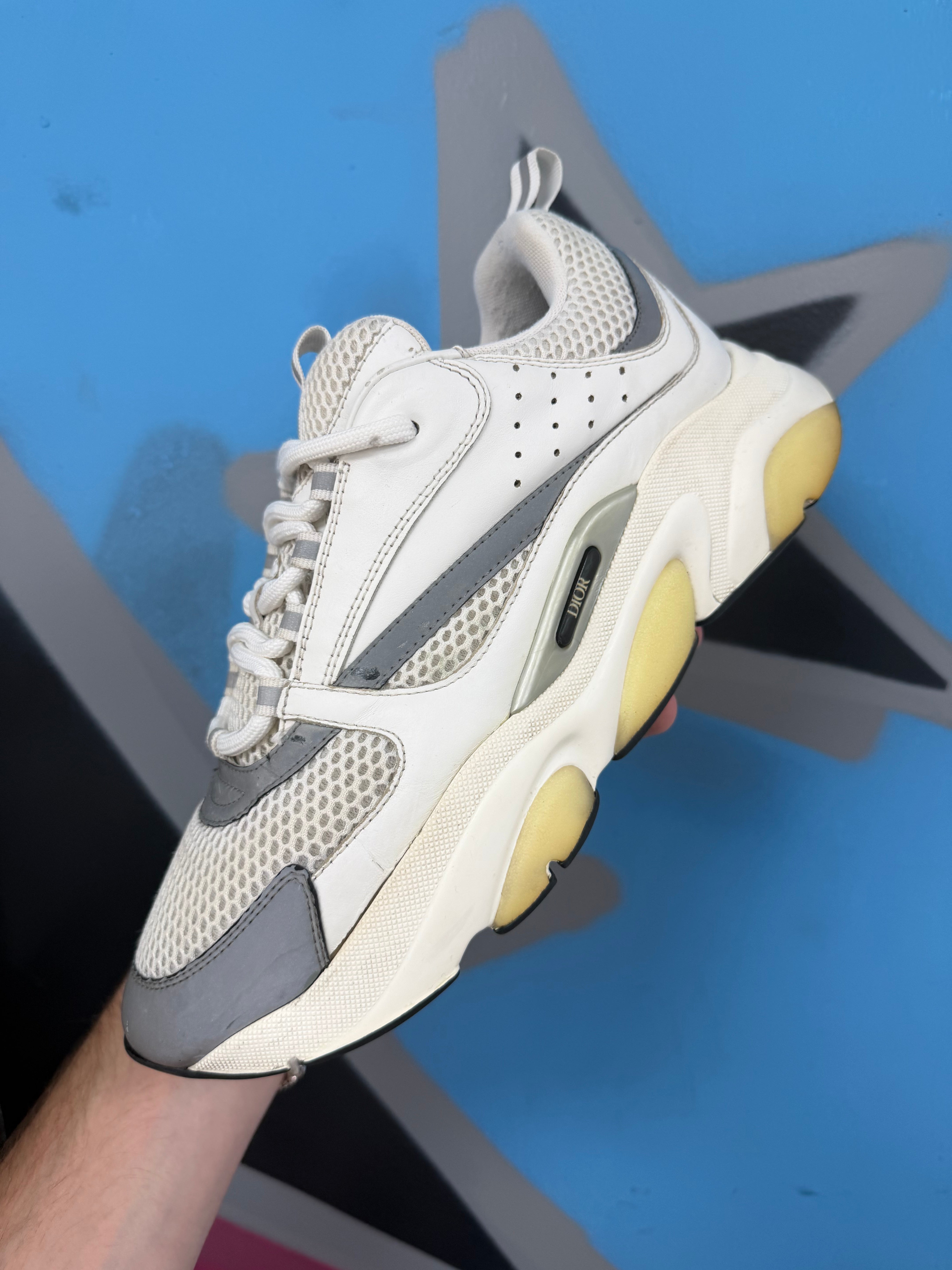 Dior White Silver B22 Sneakers