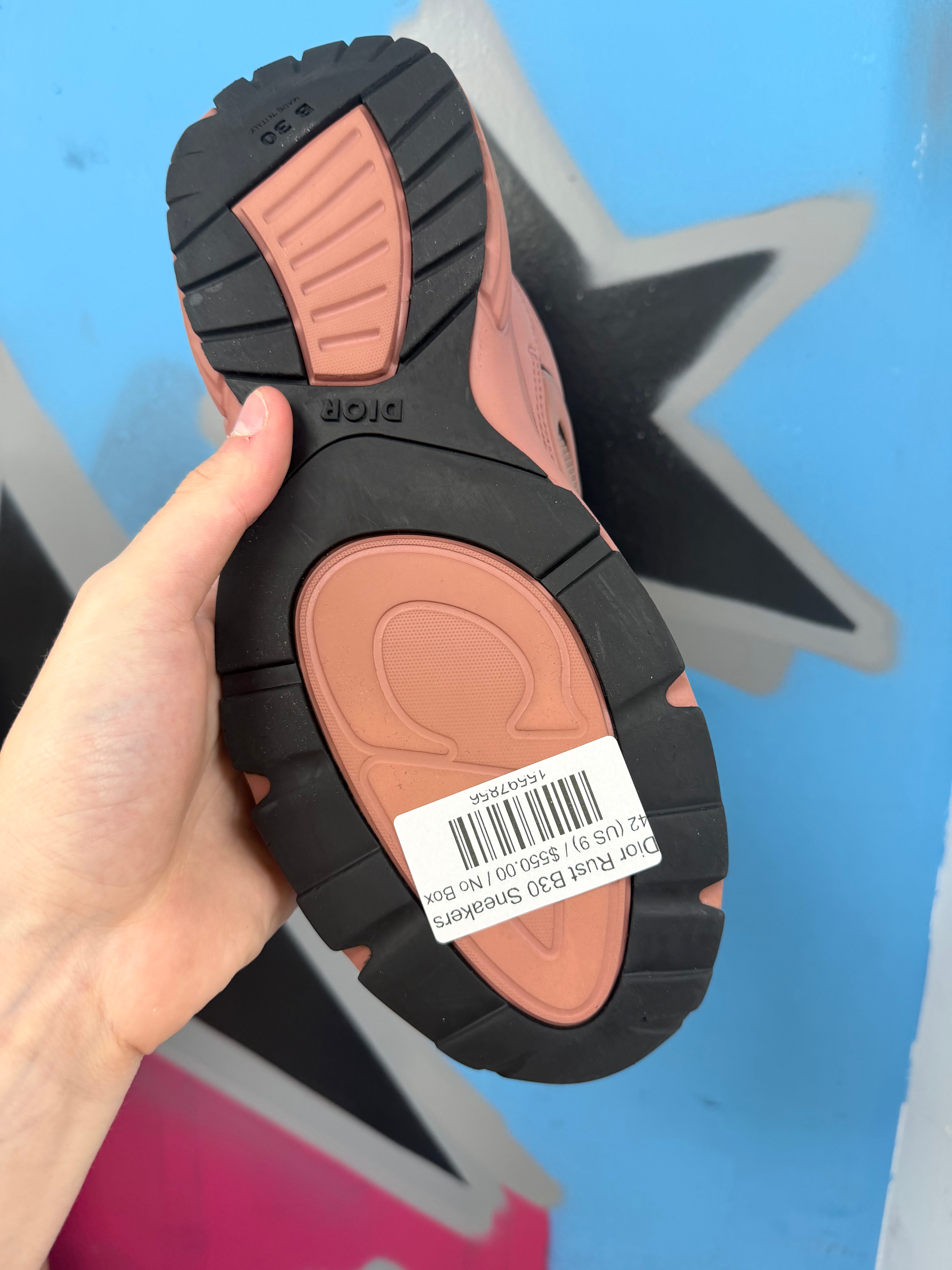 Dior Rust B30 Sneakers