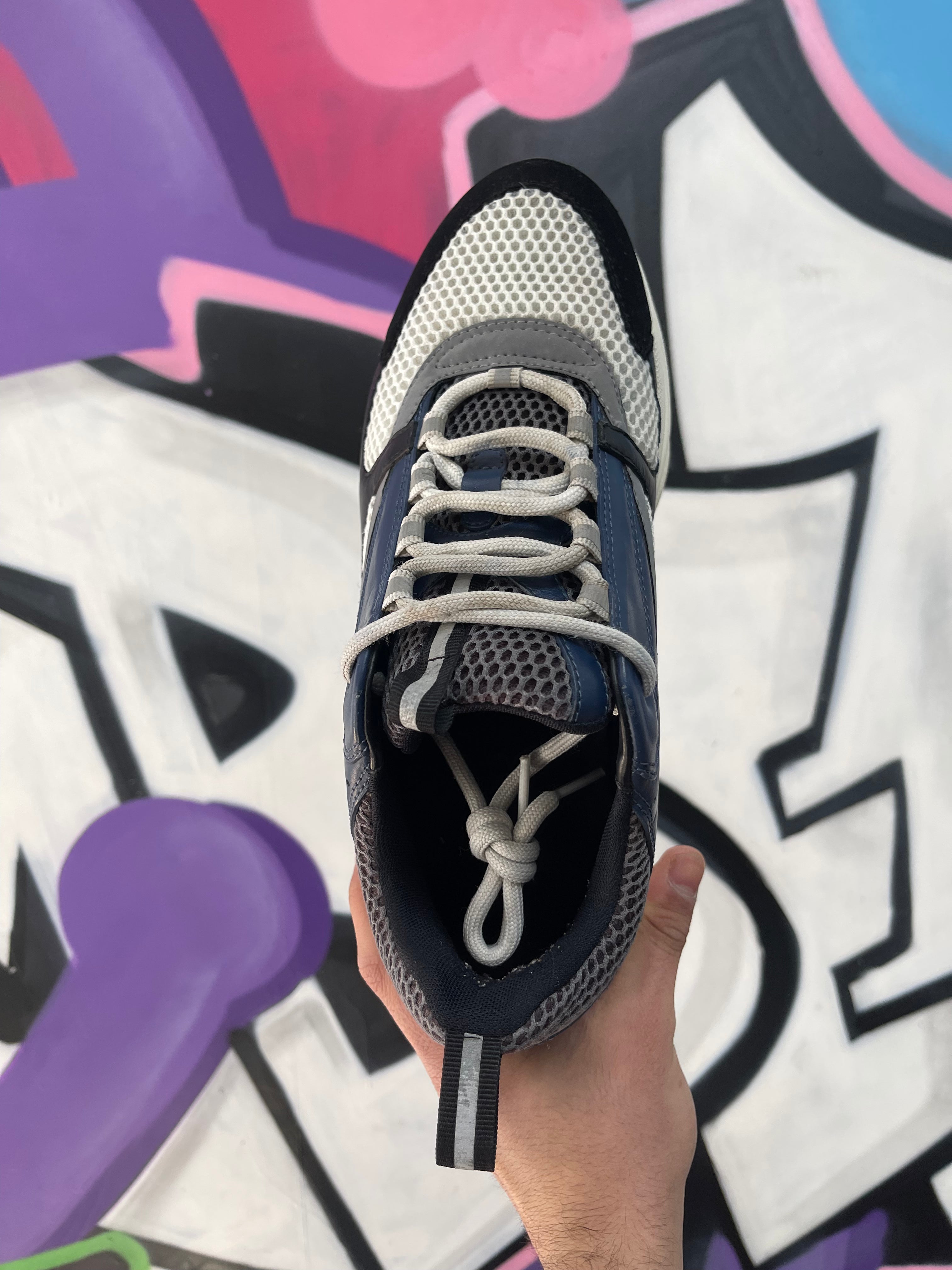 Dior B22 Navy Sneakers