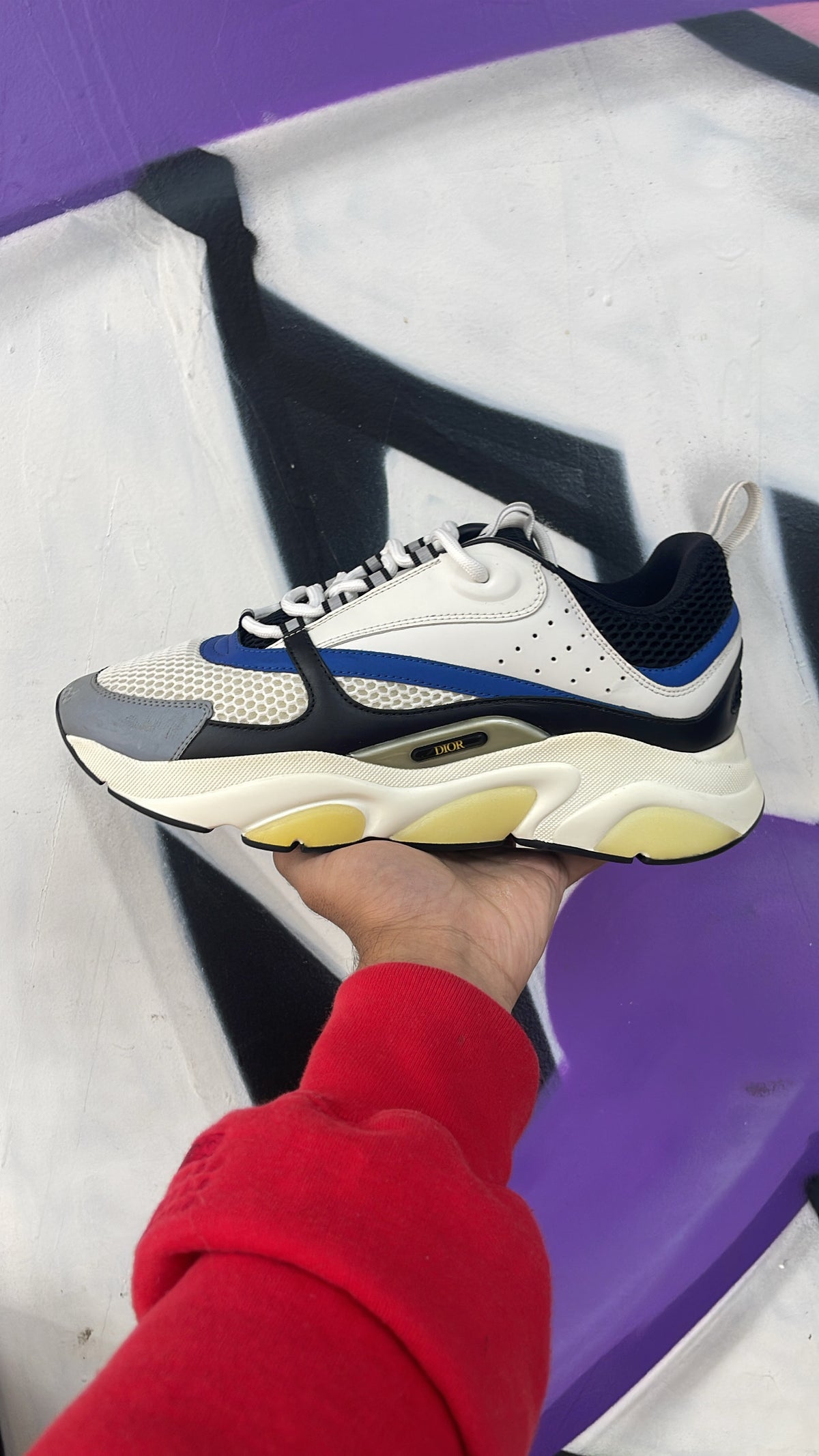 Dior Blue White B22 Sneakers