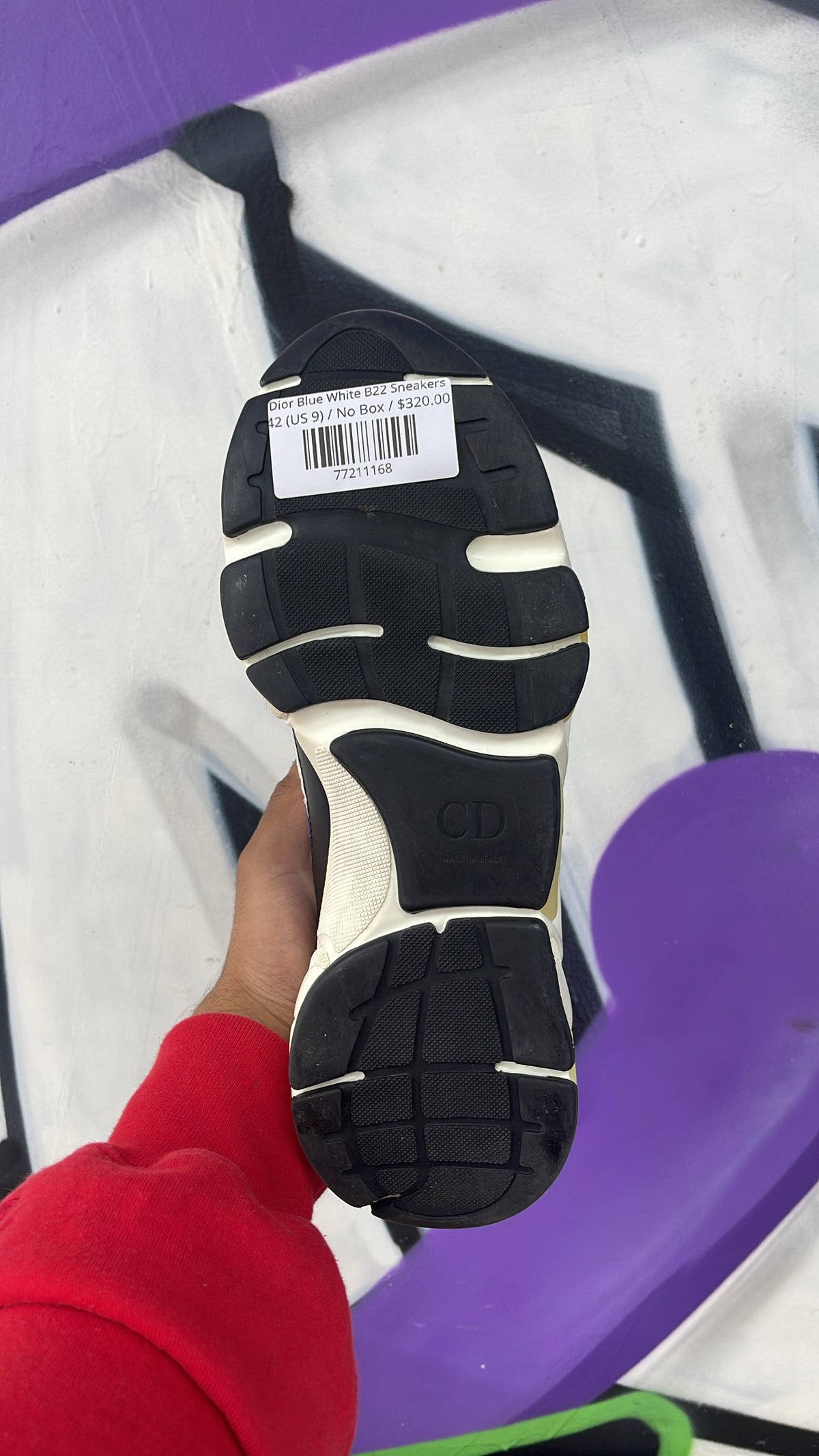 Dior Blue White B22 Sneakers