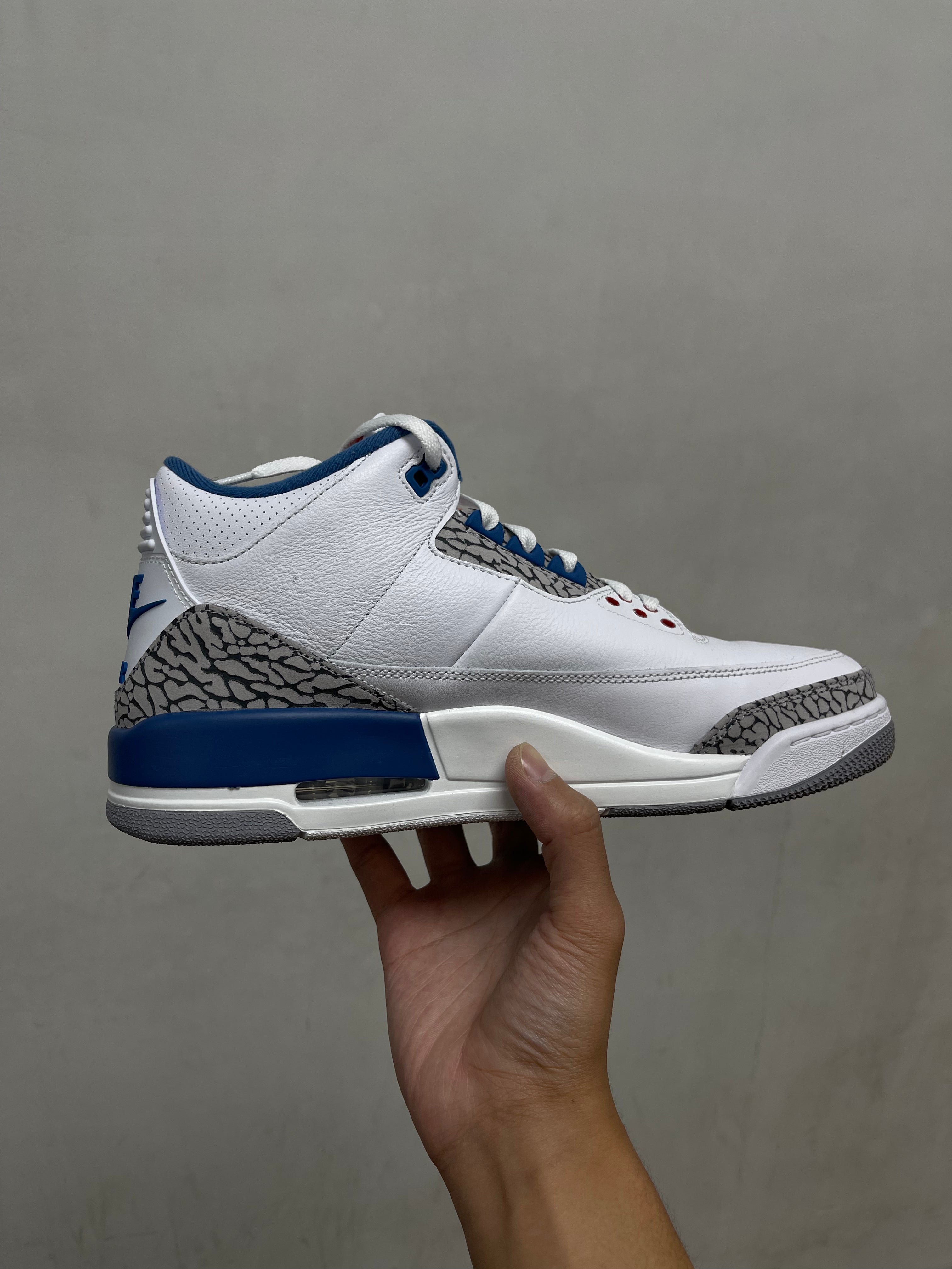 Jordan 3 True Blue Sneakers