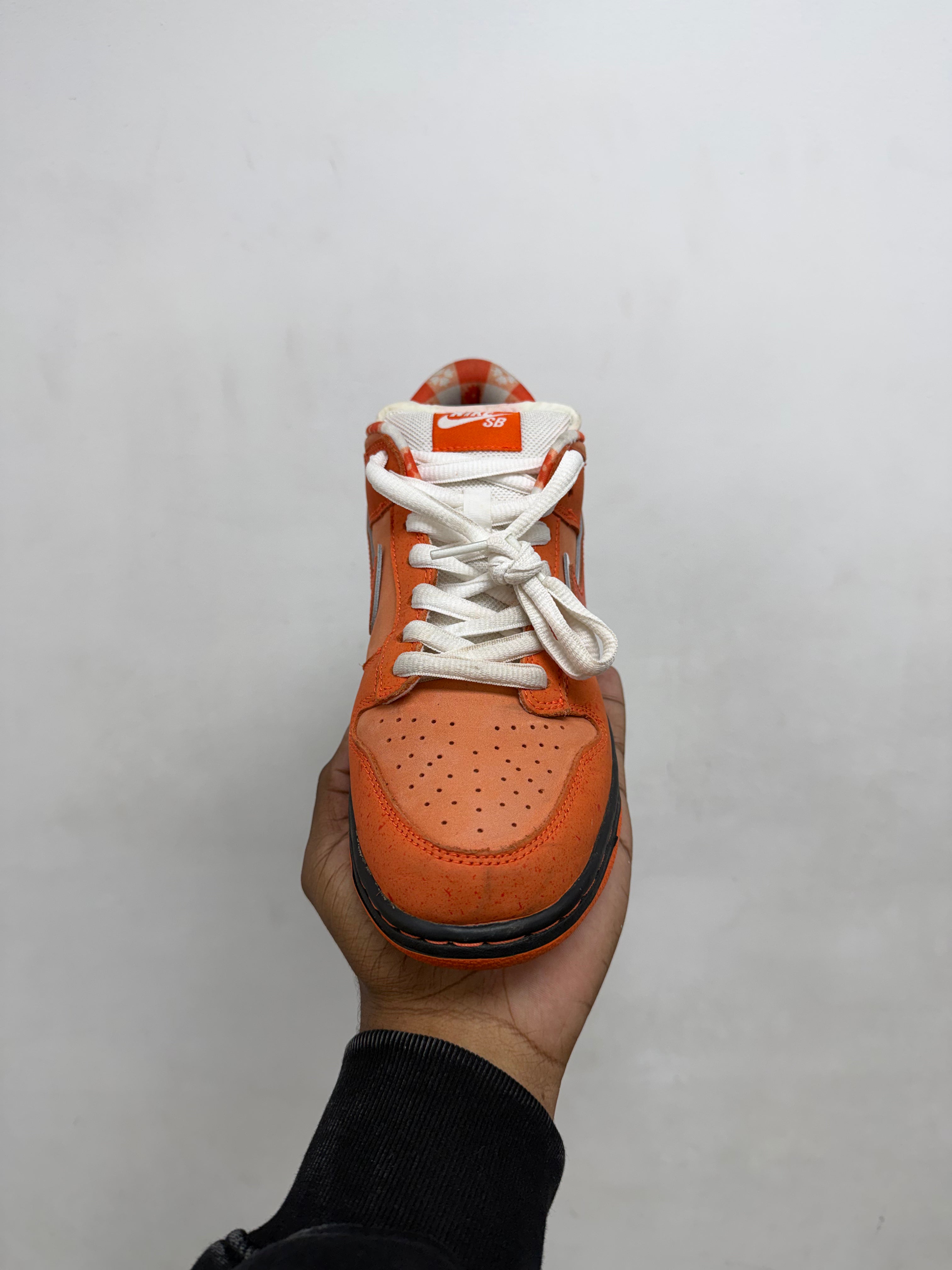 Nike SB Dunk Low Orange Lobster Sneakes