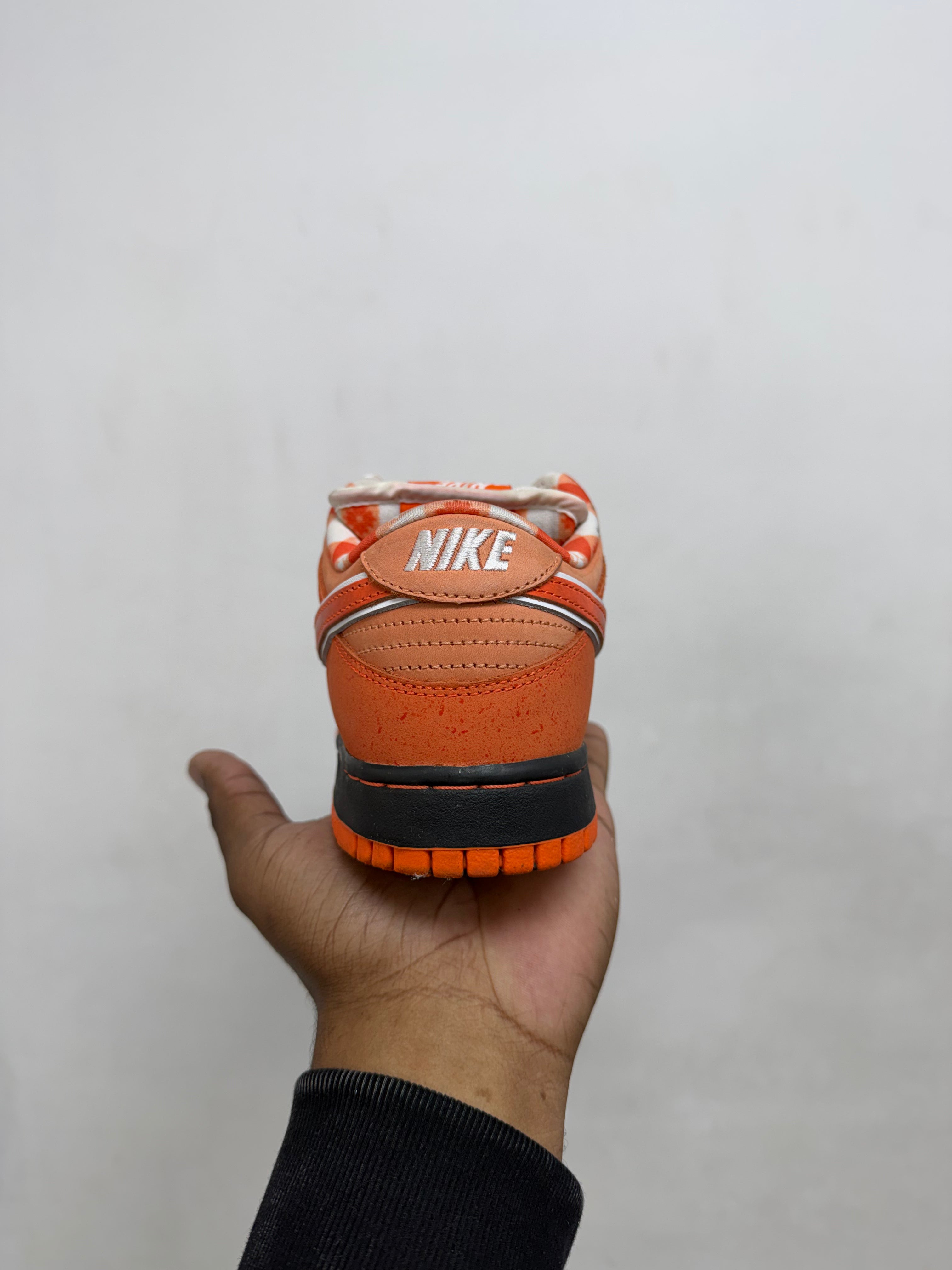 Nike SB Dunk Low Orange Lobster Sneakes