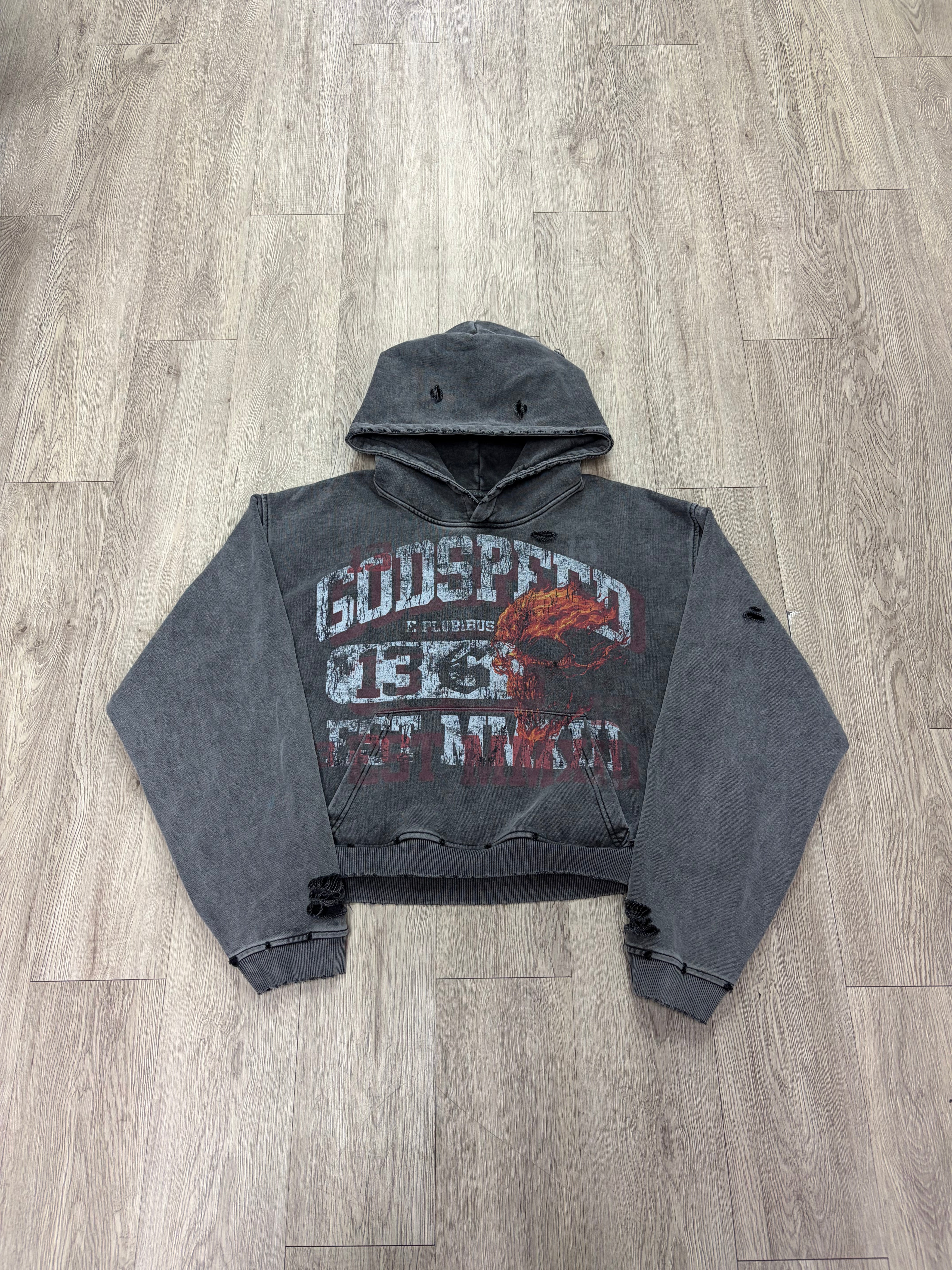 Godspeed Grey Seeing Double Hoodie