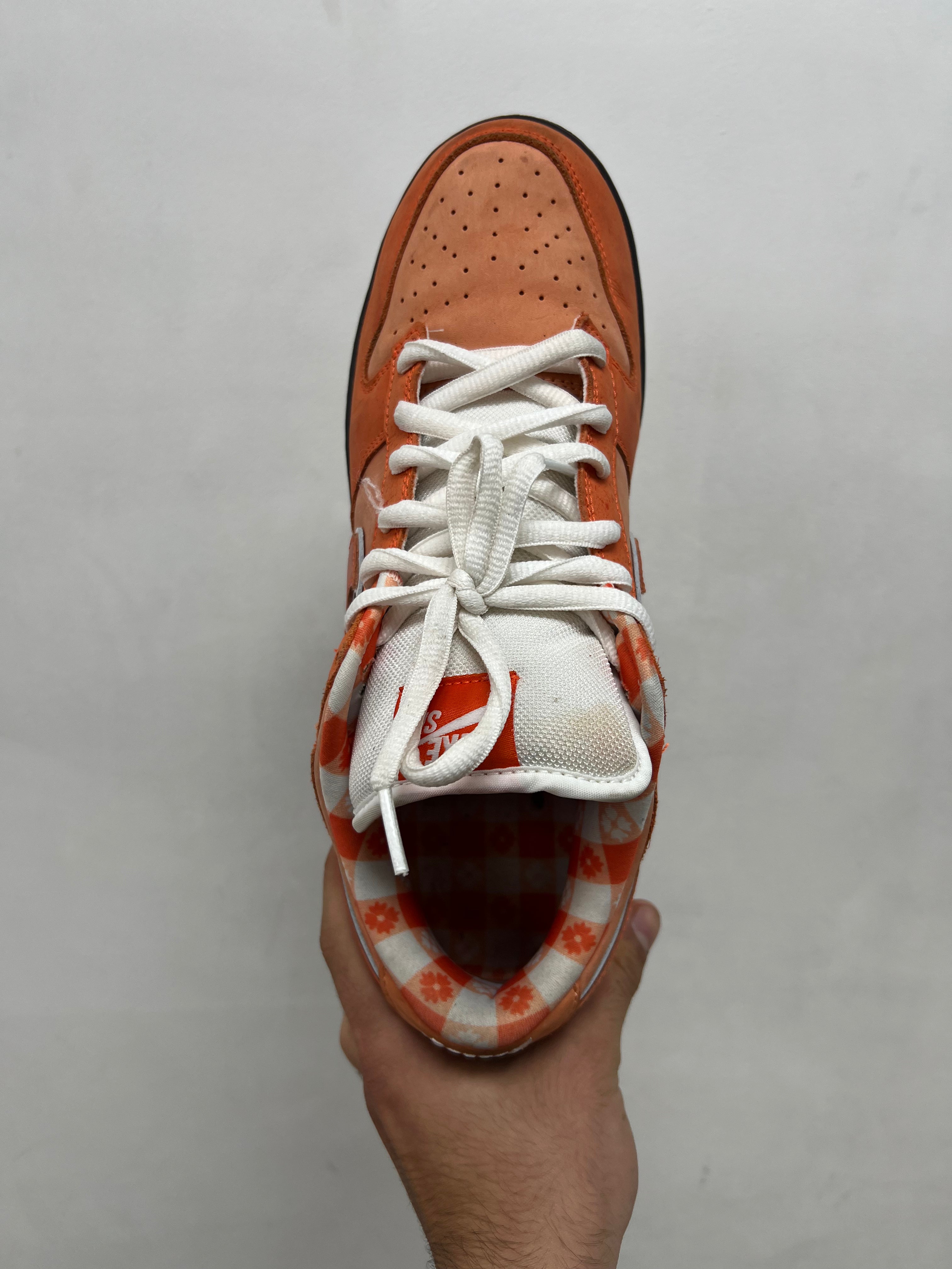 Nike SB Dunk Low Orange Lobster Sneakers