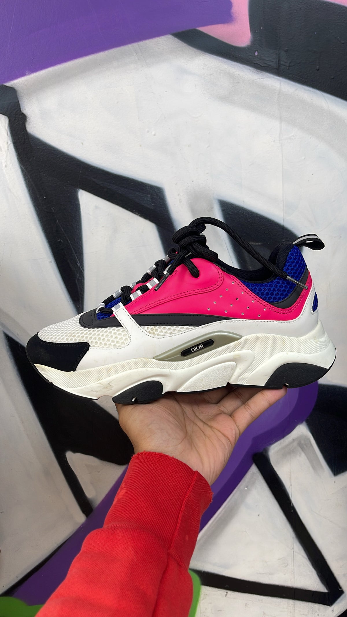 Dior Navy Pink B22 Sneakers