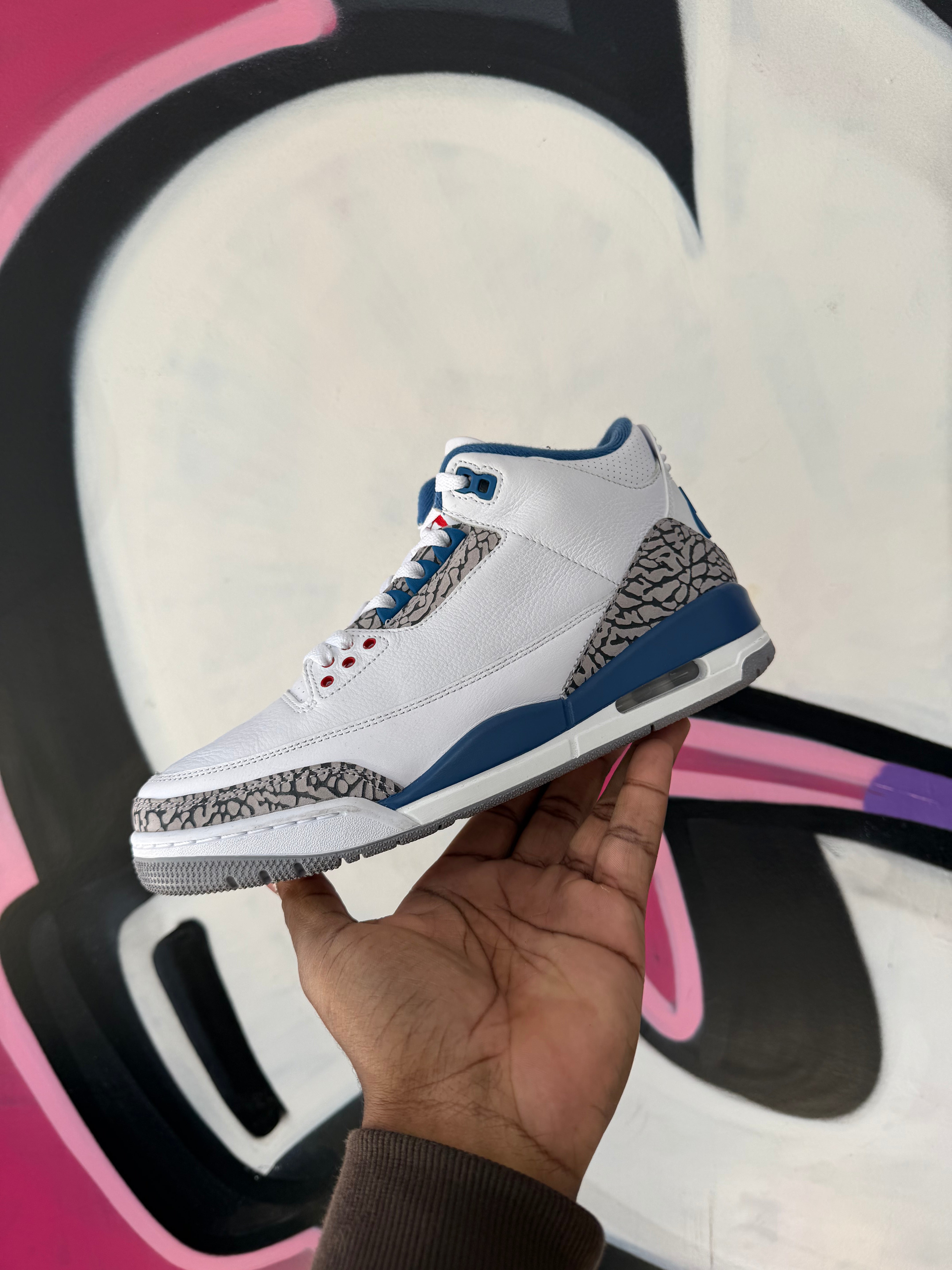 Jordan 3 True Blue Sneakers
