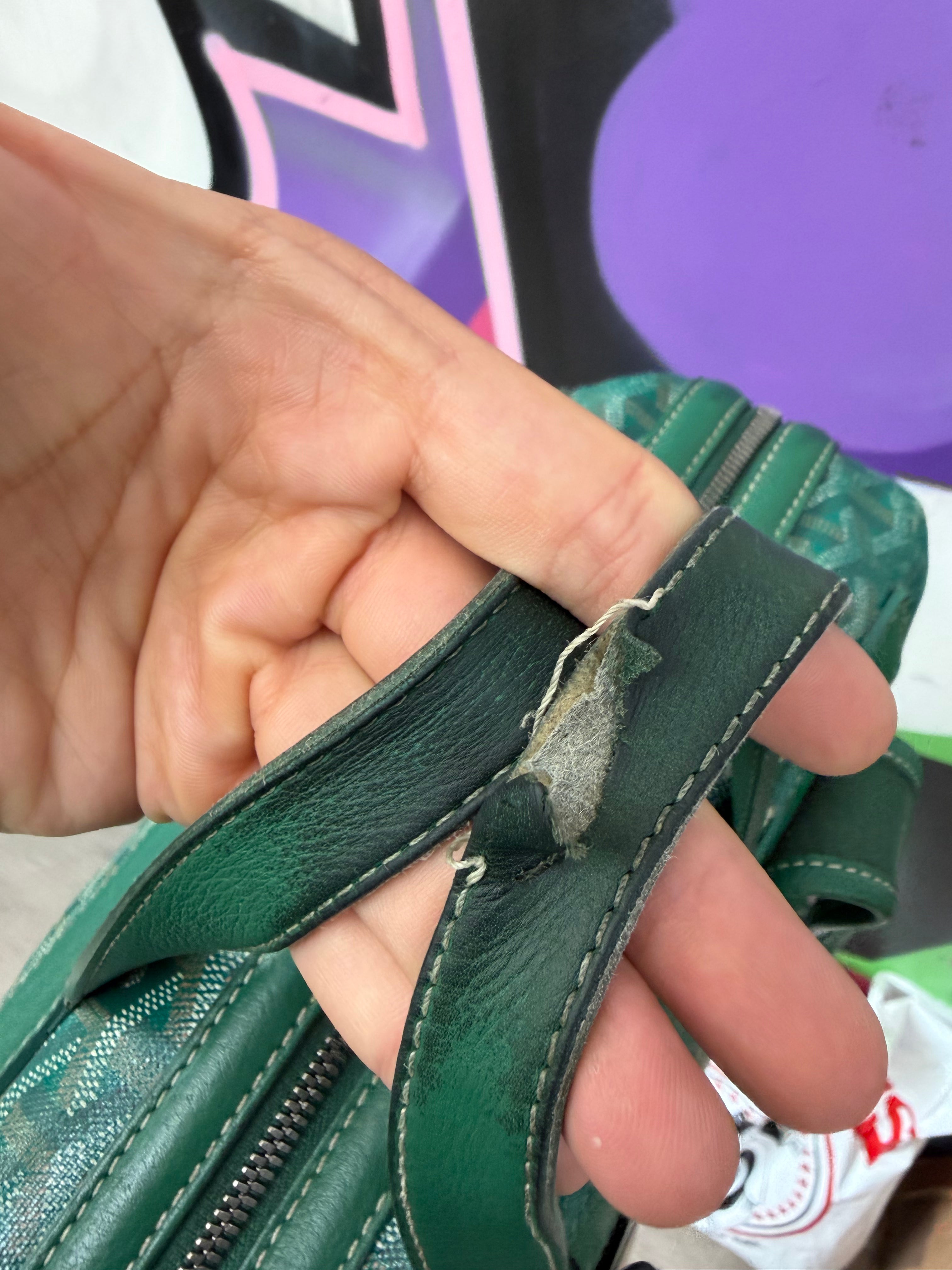 Goyard Green Cisalpin Backpack