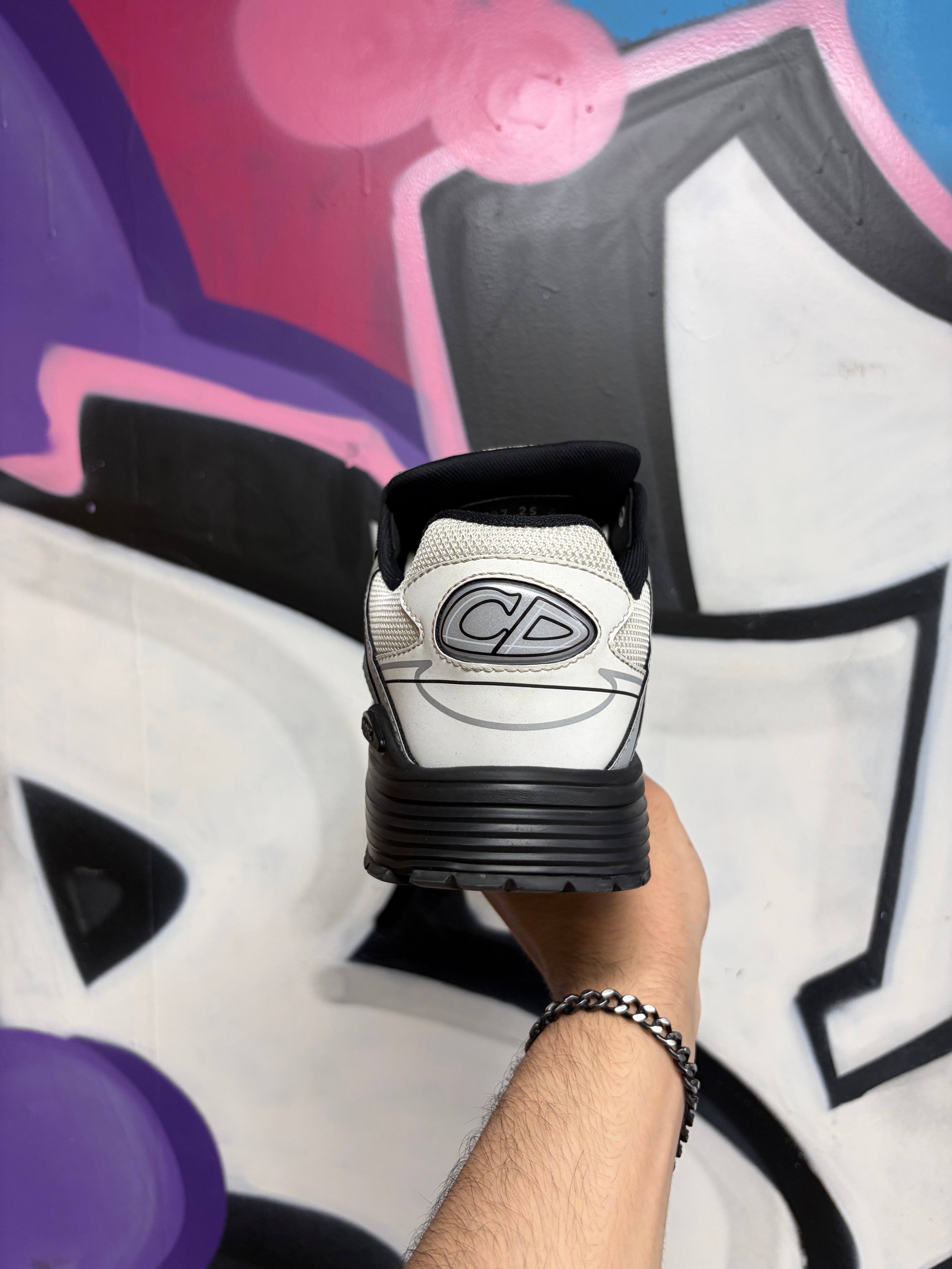 Dior Silver White B30 Sneakers