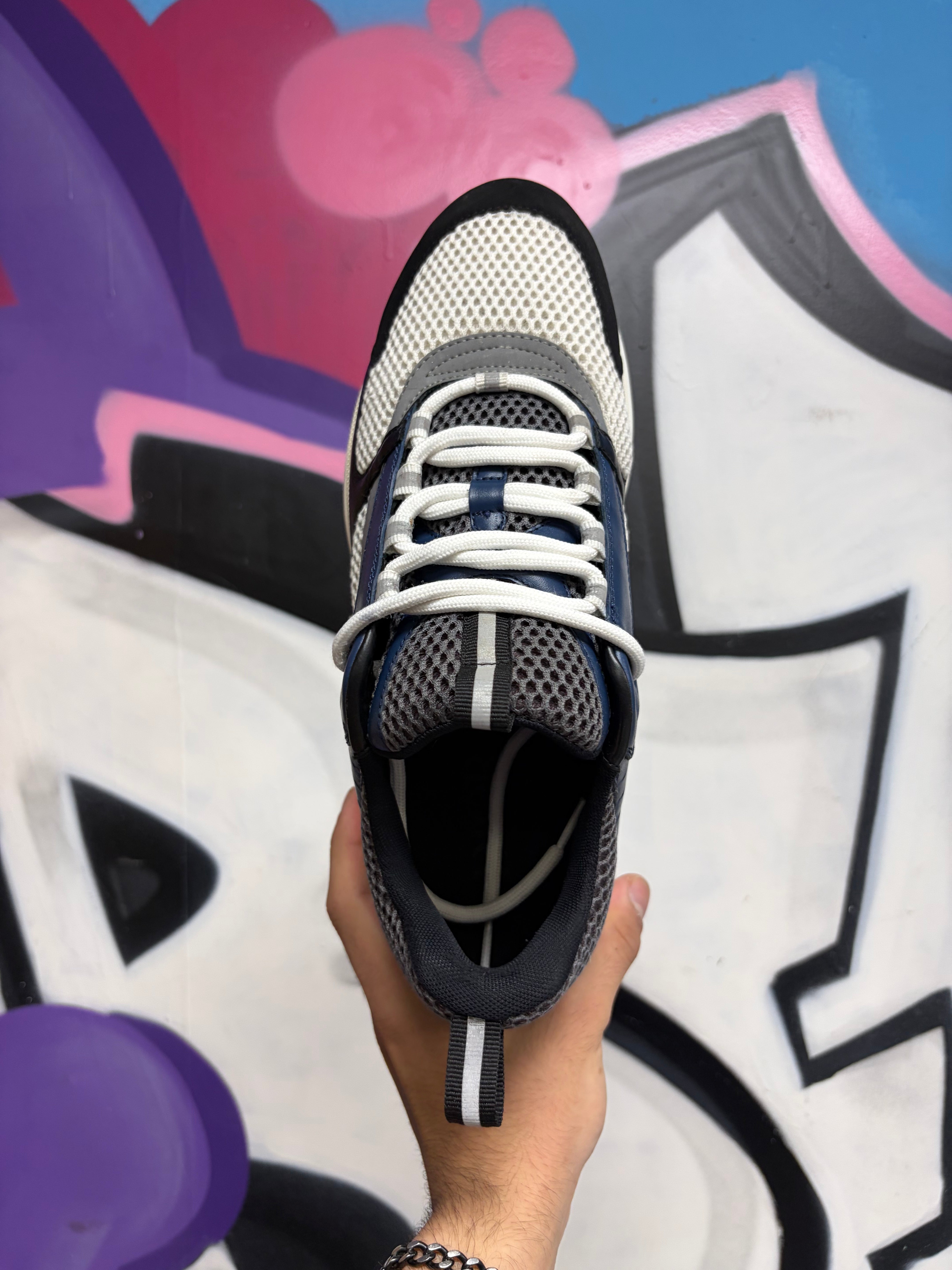 Dior Navy B22 Sneakers