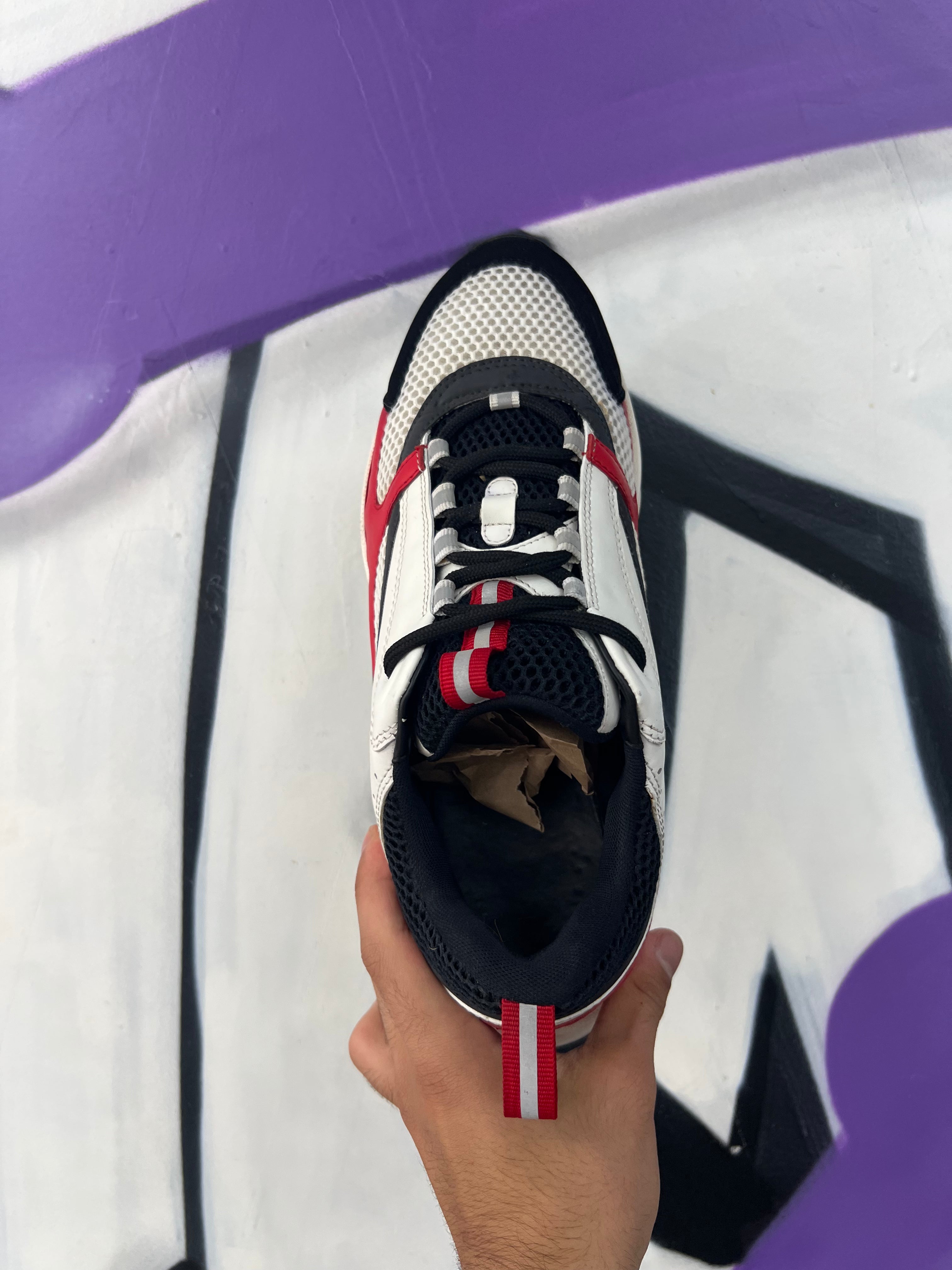 Dior Red White B22 Sneakers