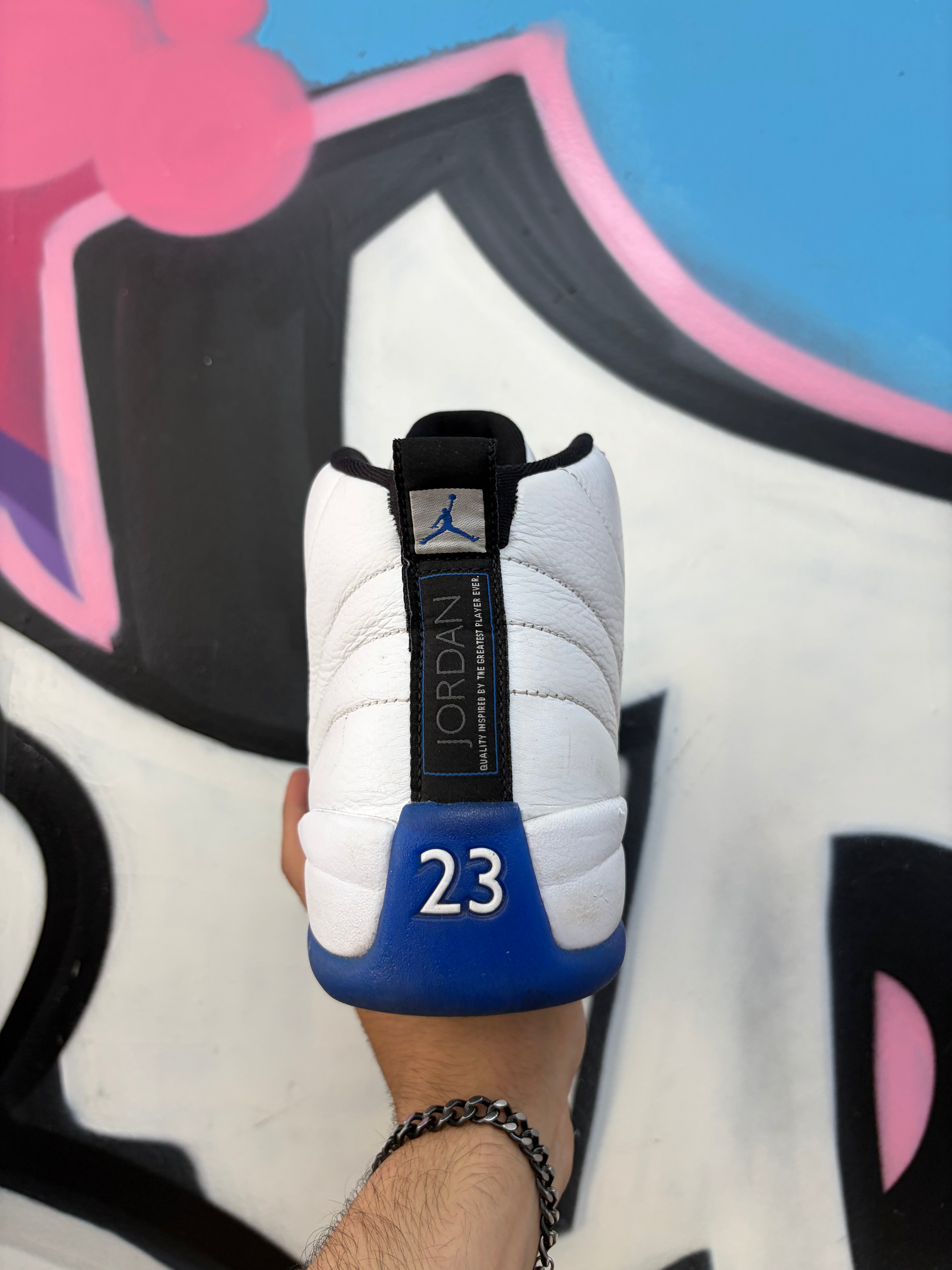 Jordan 12 Blueberry Sneakers