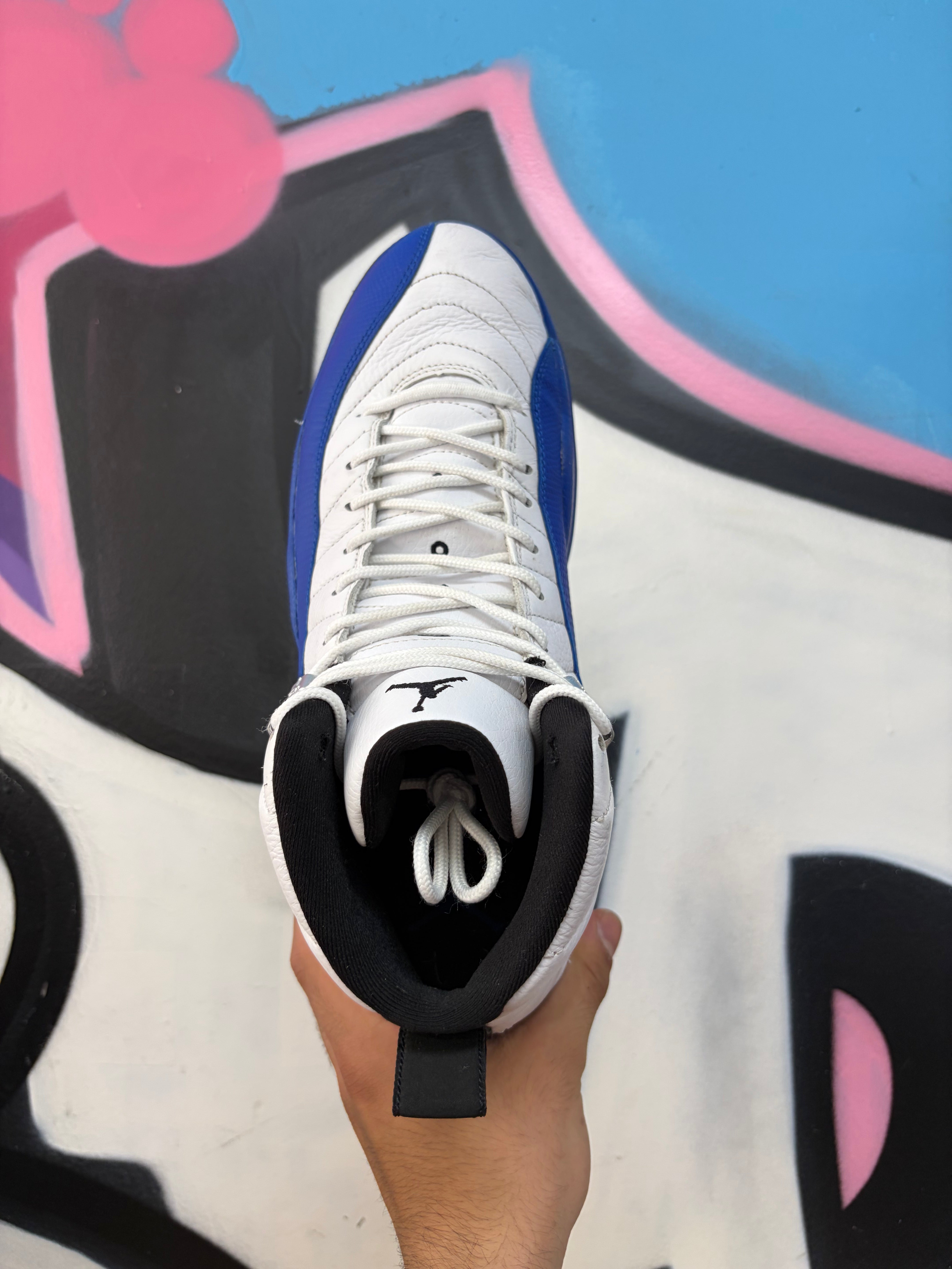 Jordan 12 Blueberry Sneakers